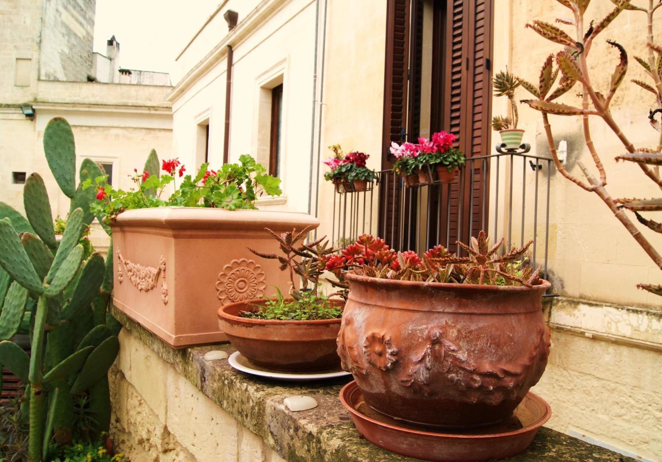B&B Demetra Appartamenti view 5