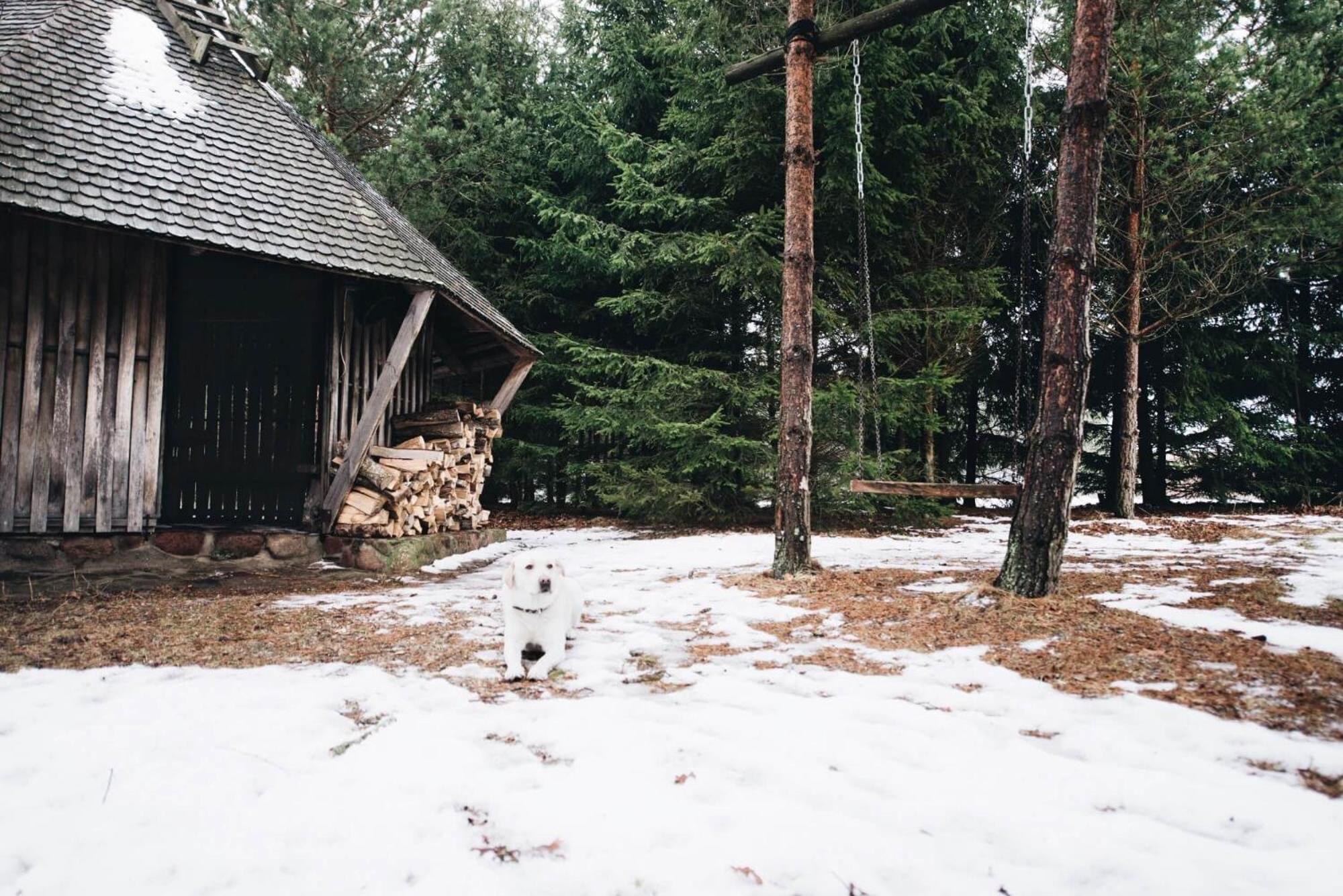 Photo 28