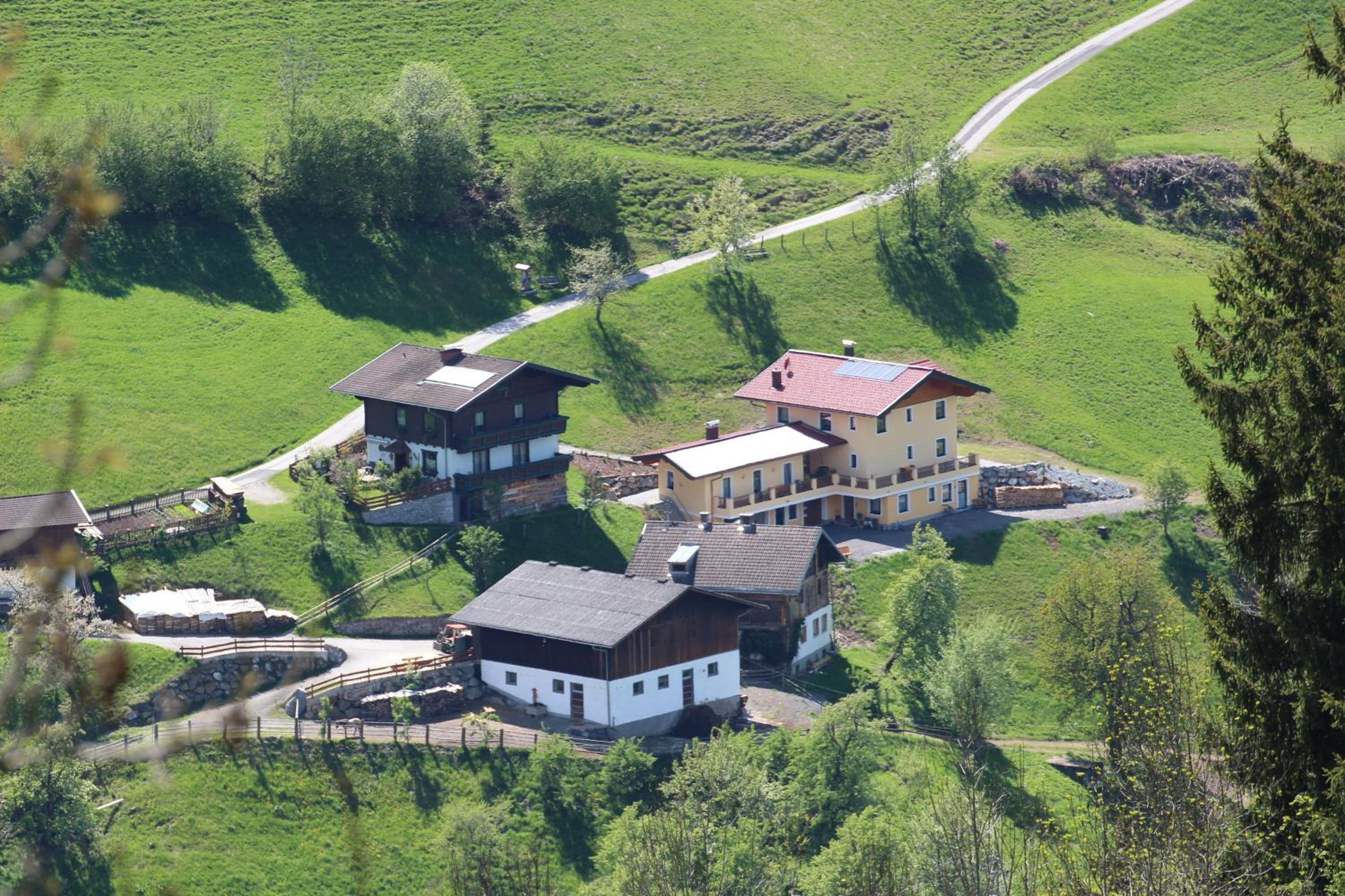 Holzlehenhof view 4
