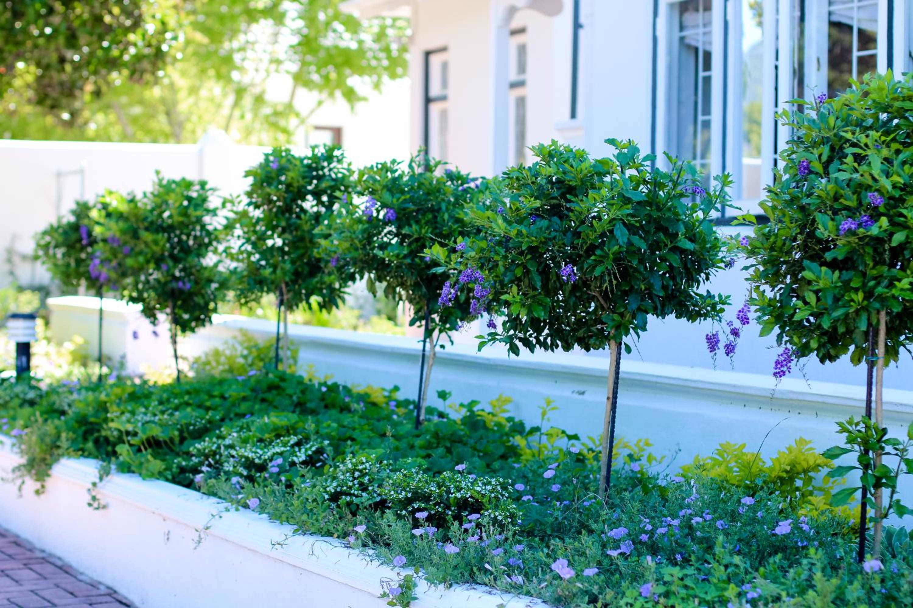 Whispering Oaks Guest House