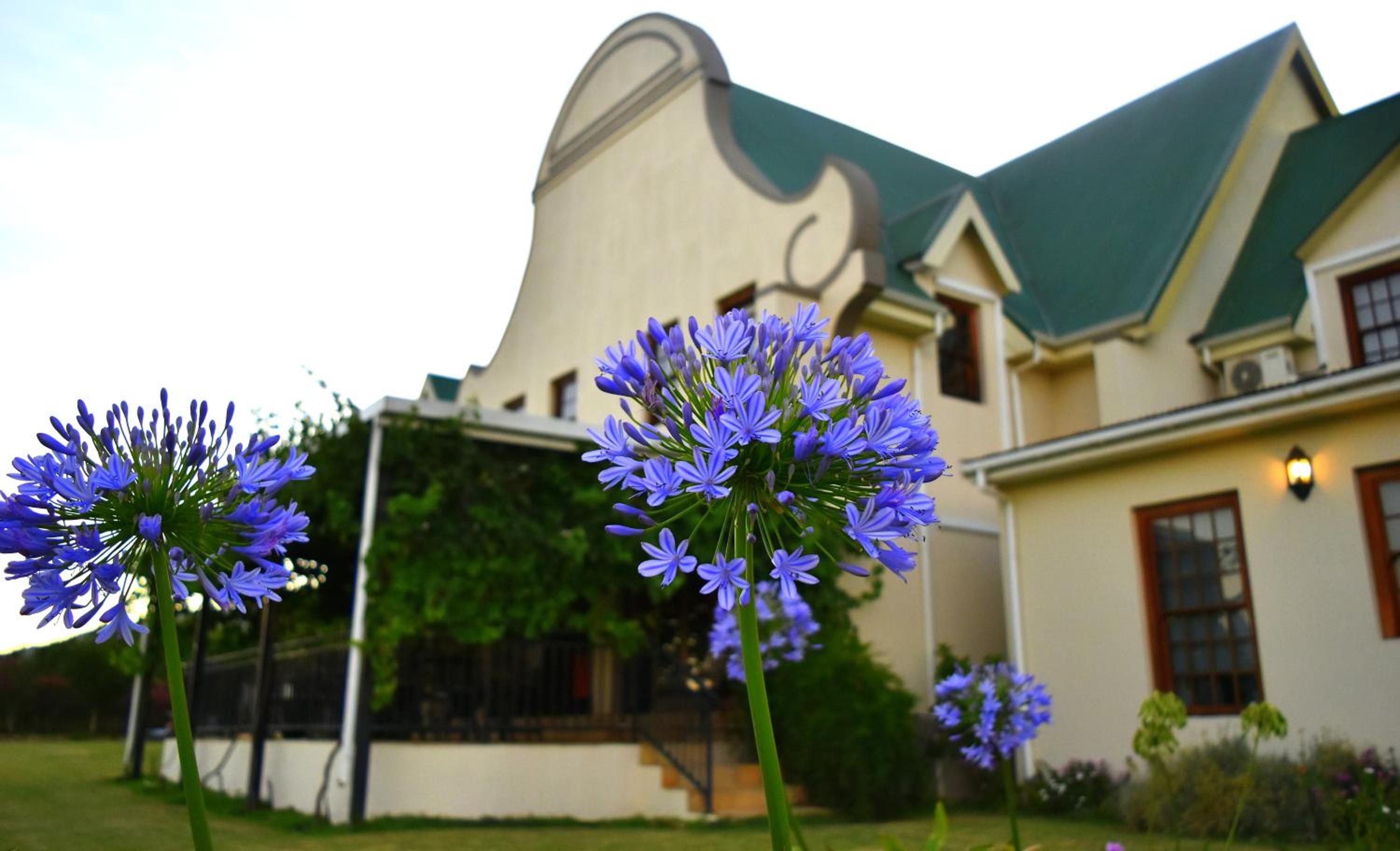 Photo 49
