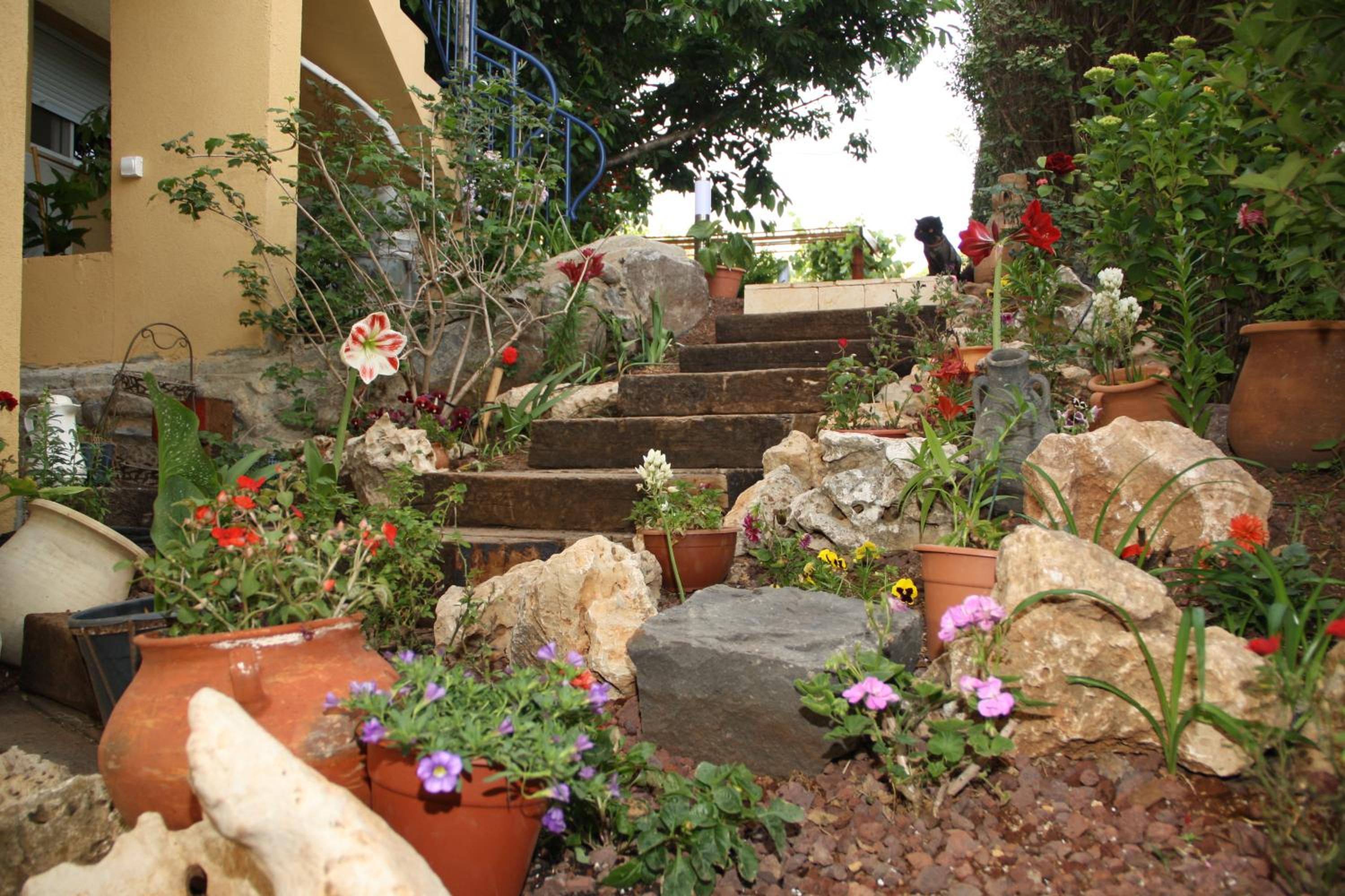 Photo 7