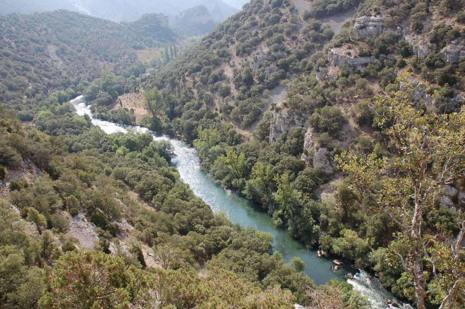 El Abrigaño del Cañón