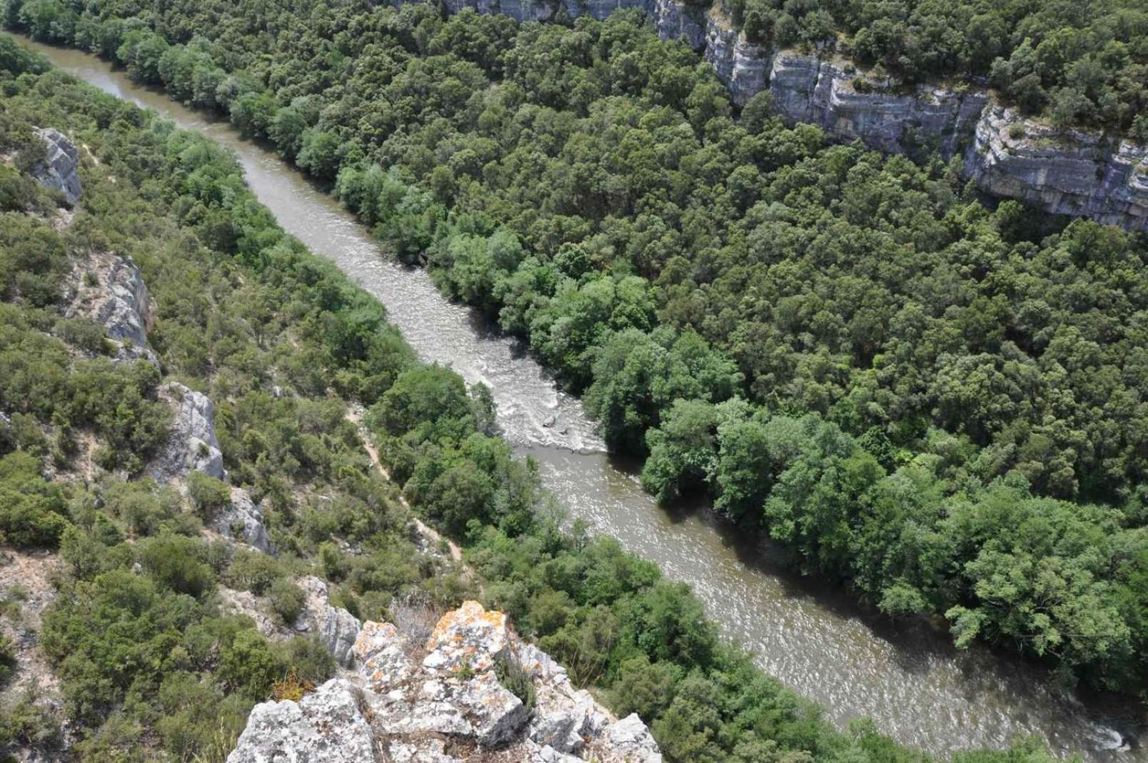 El Abrigaño del Cañón
