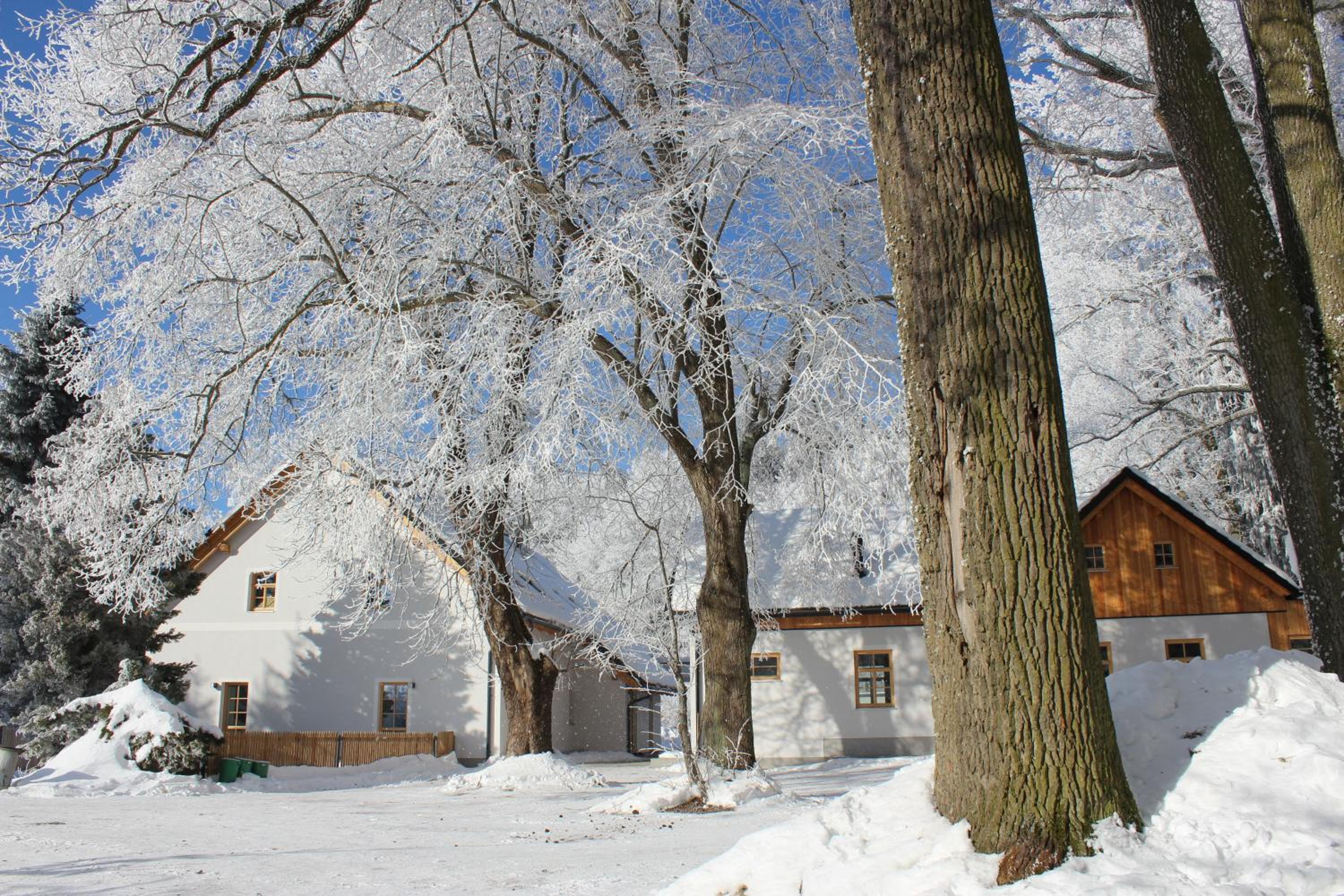 Penzion Fořtovna