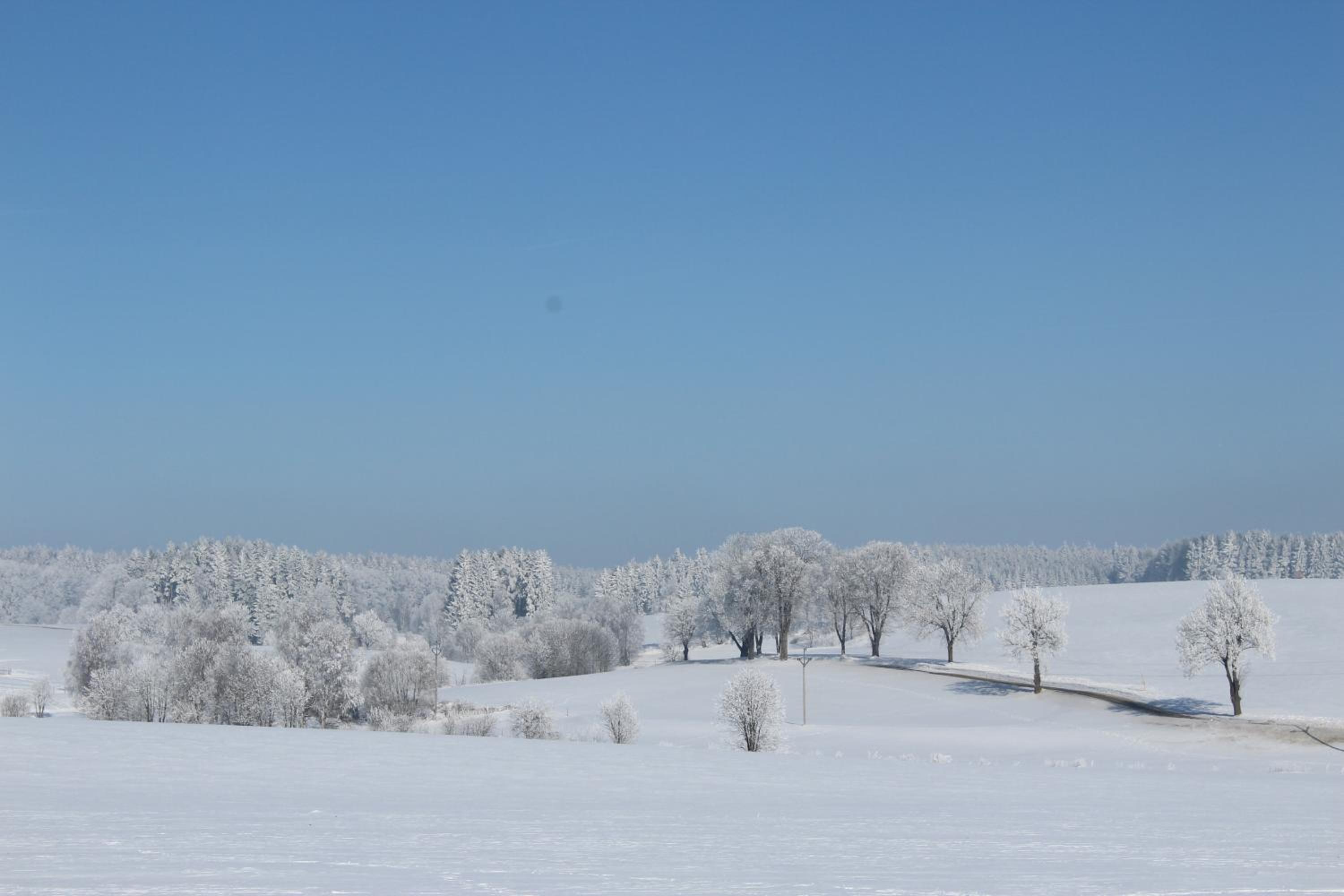 Penzion Fořtovna