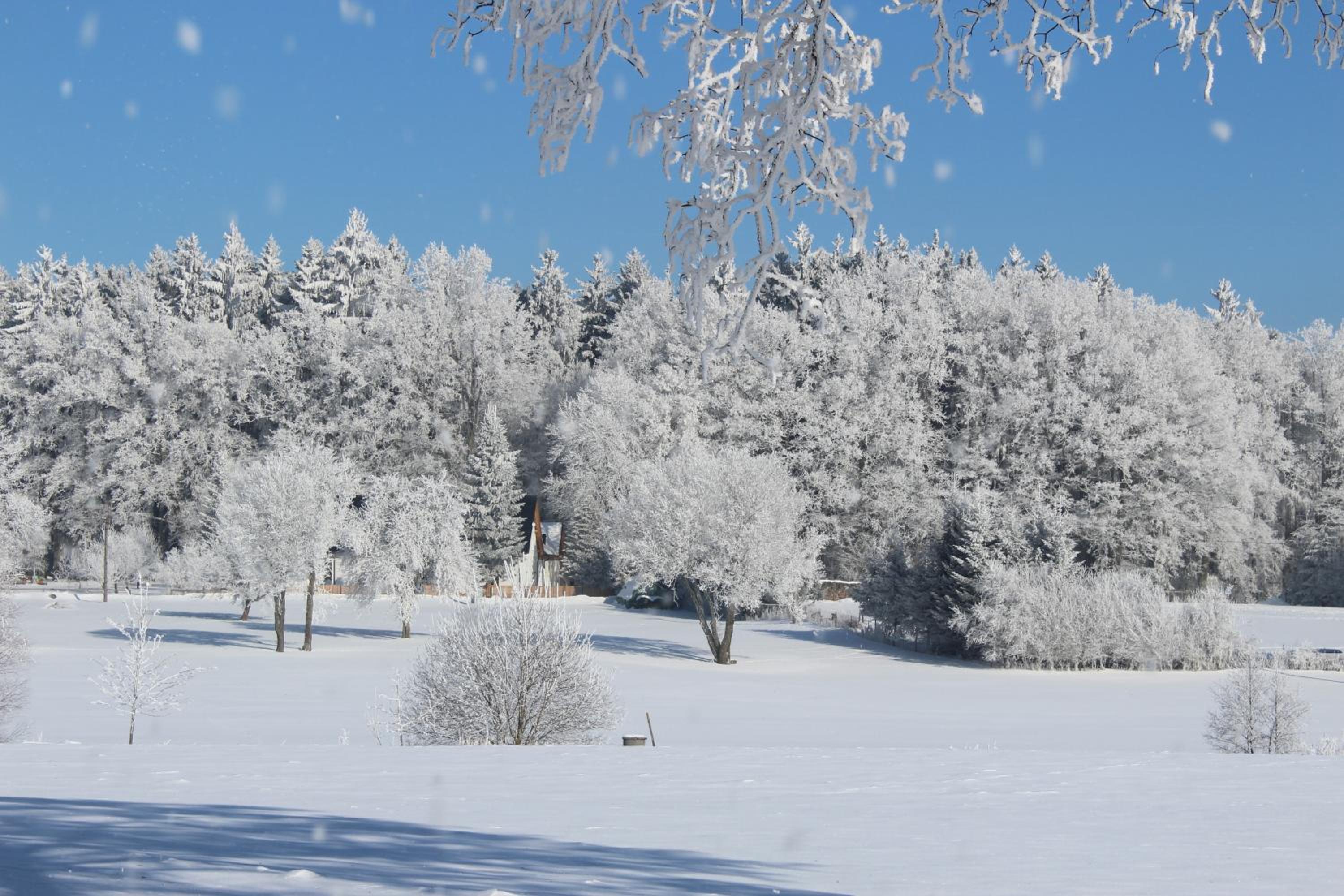 Penzion Fořtovna