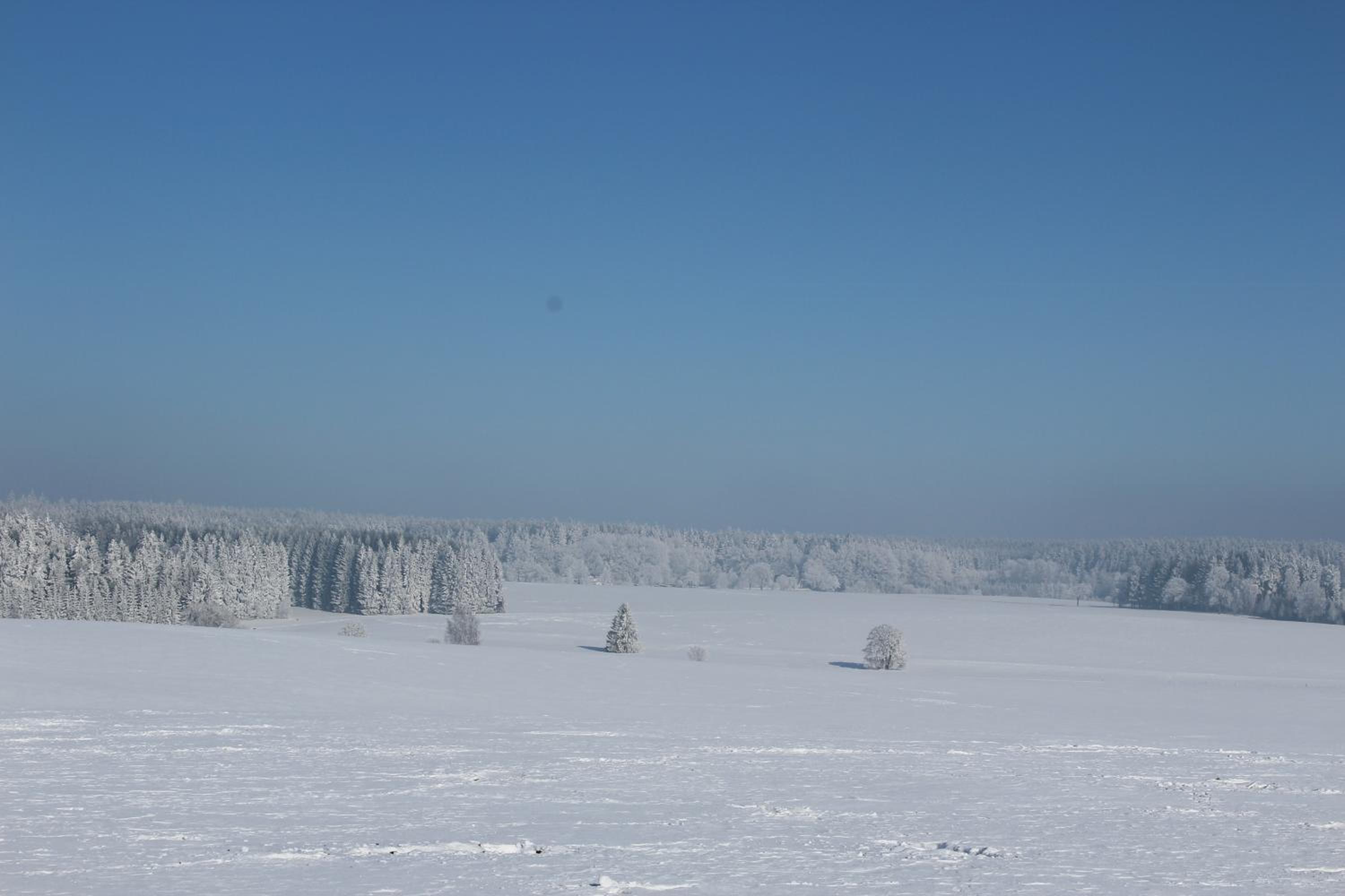 Penzion Fořtovna