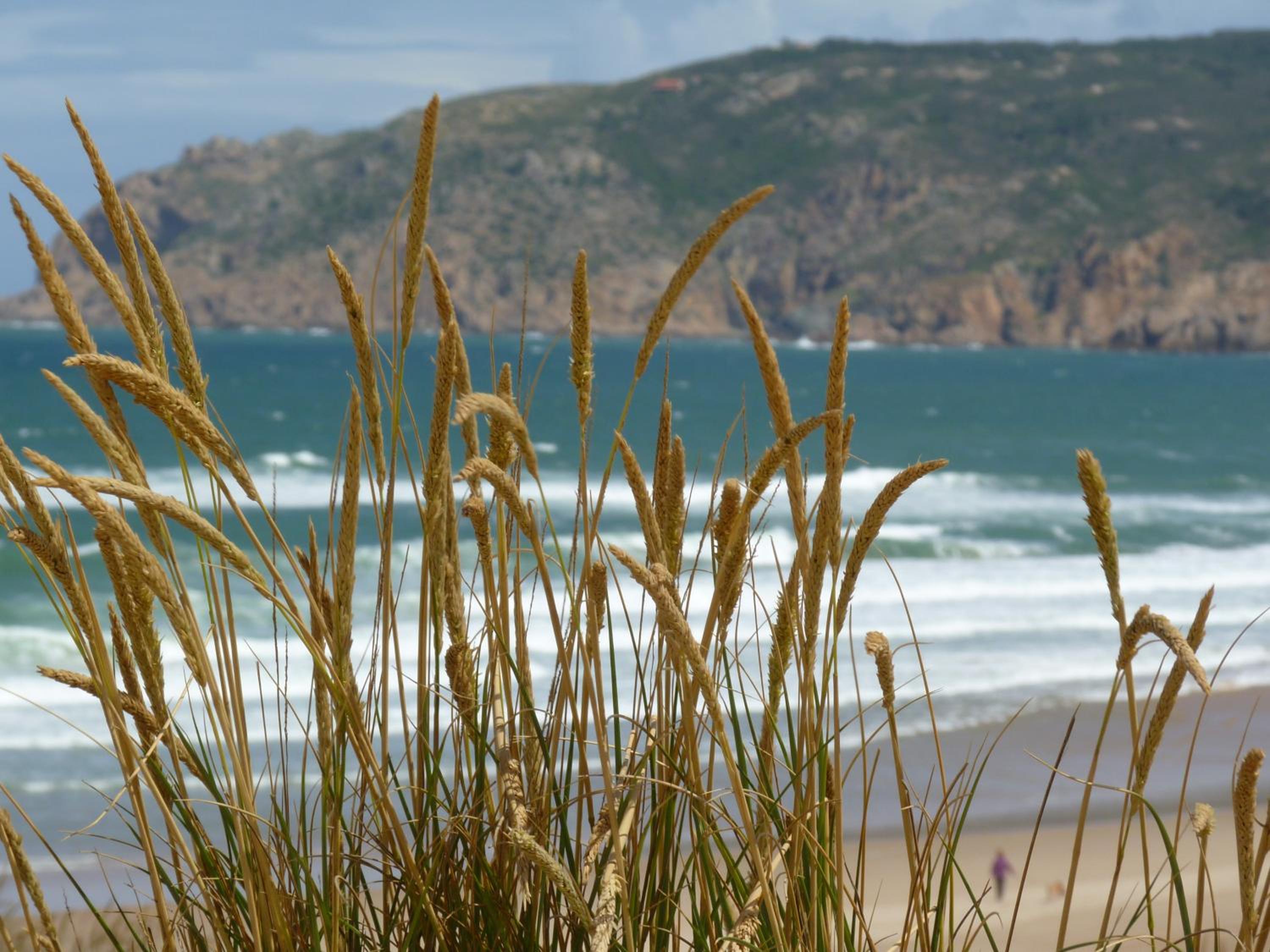 Quinta do Cabo Guesthouse — photo 27