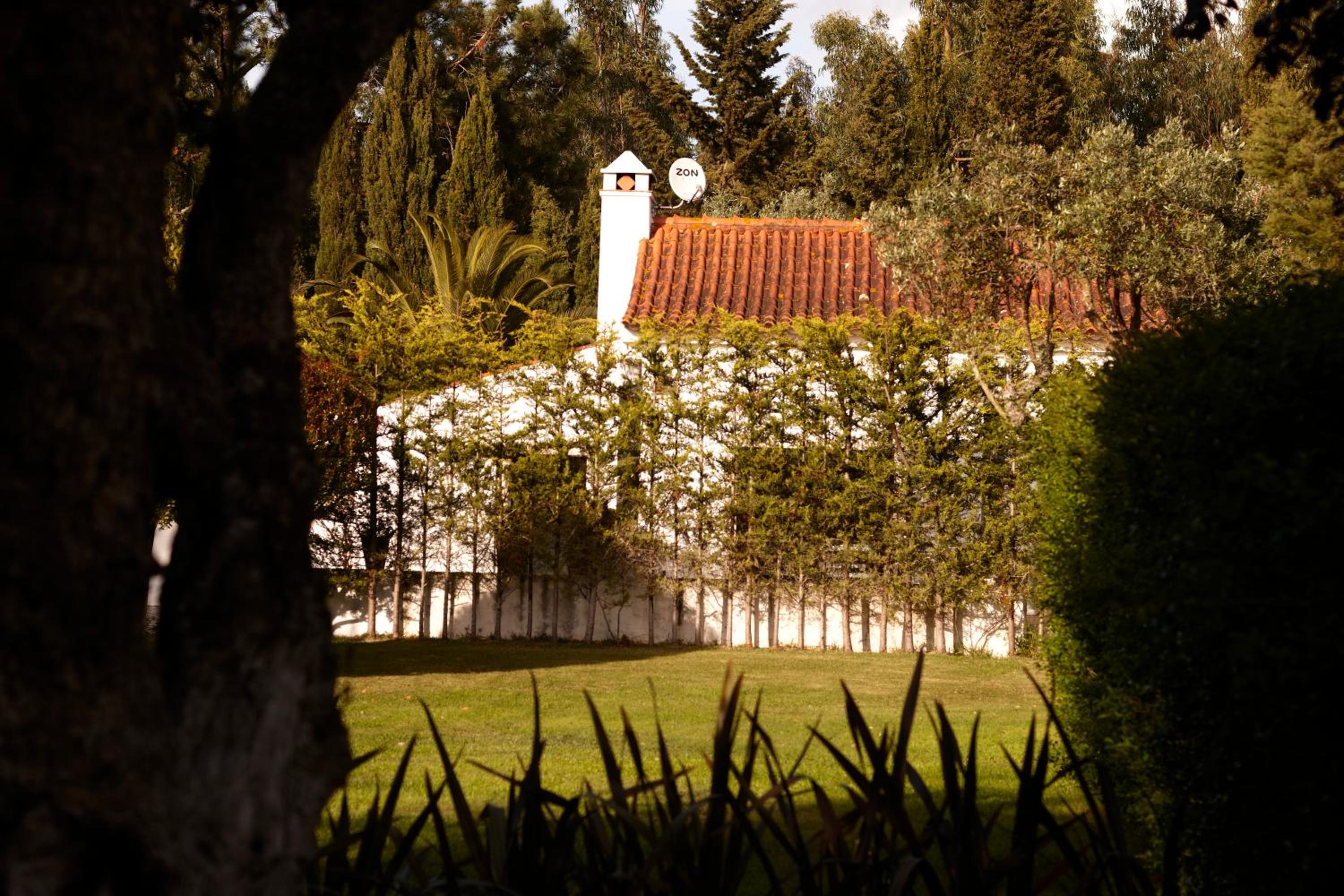 Photo 46
