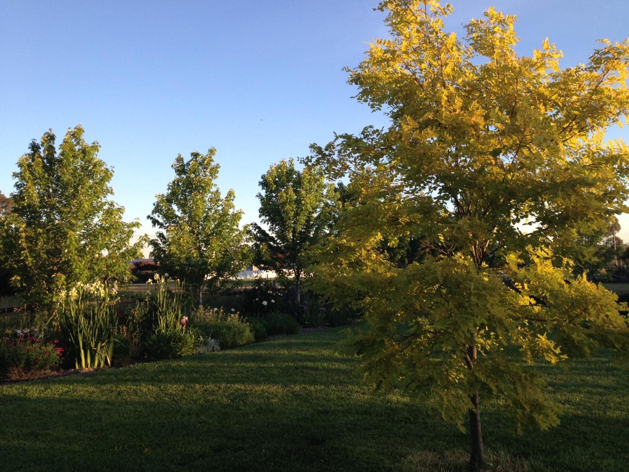 Grampians View B&B