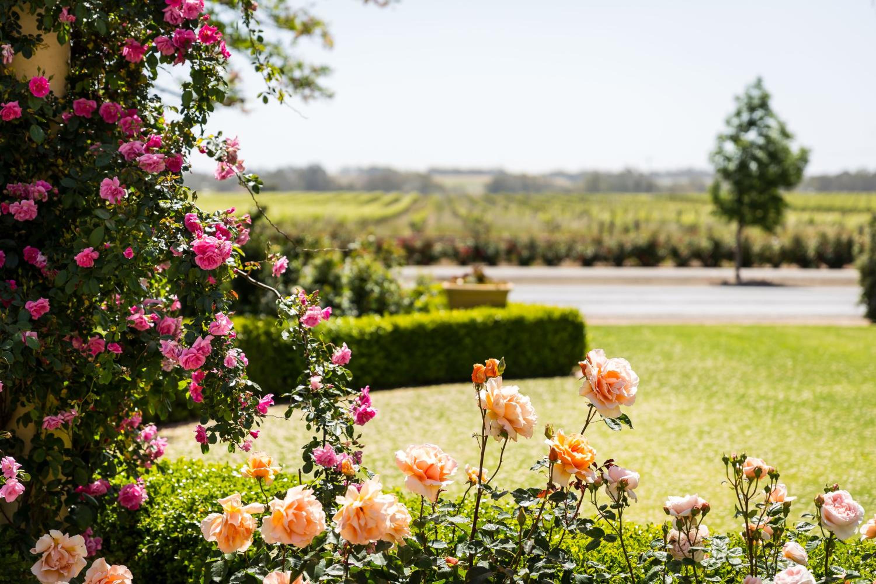 Barossa House