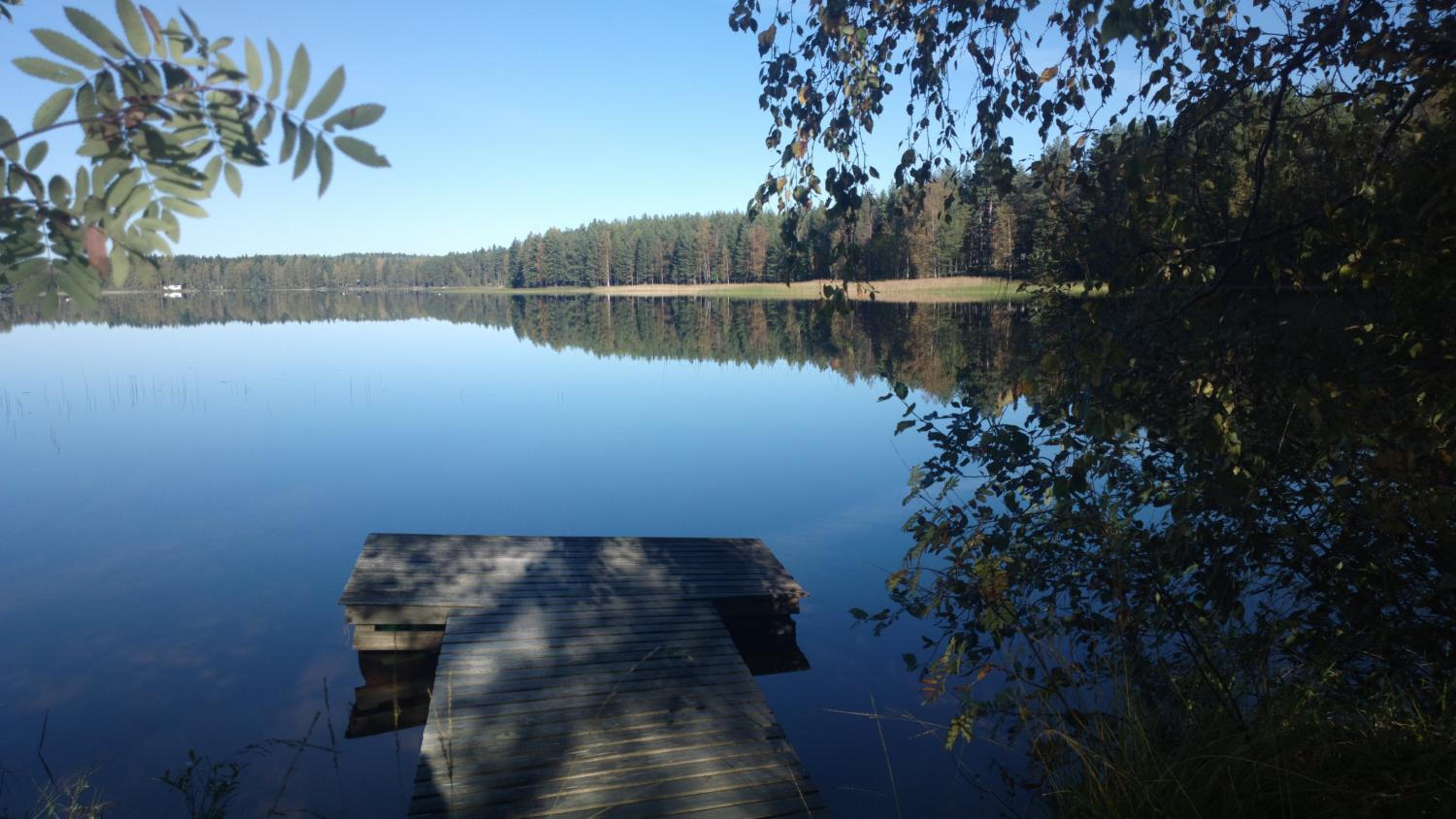 Metsolan pihapiiri