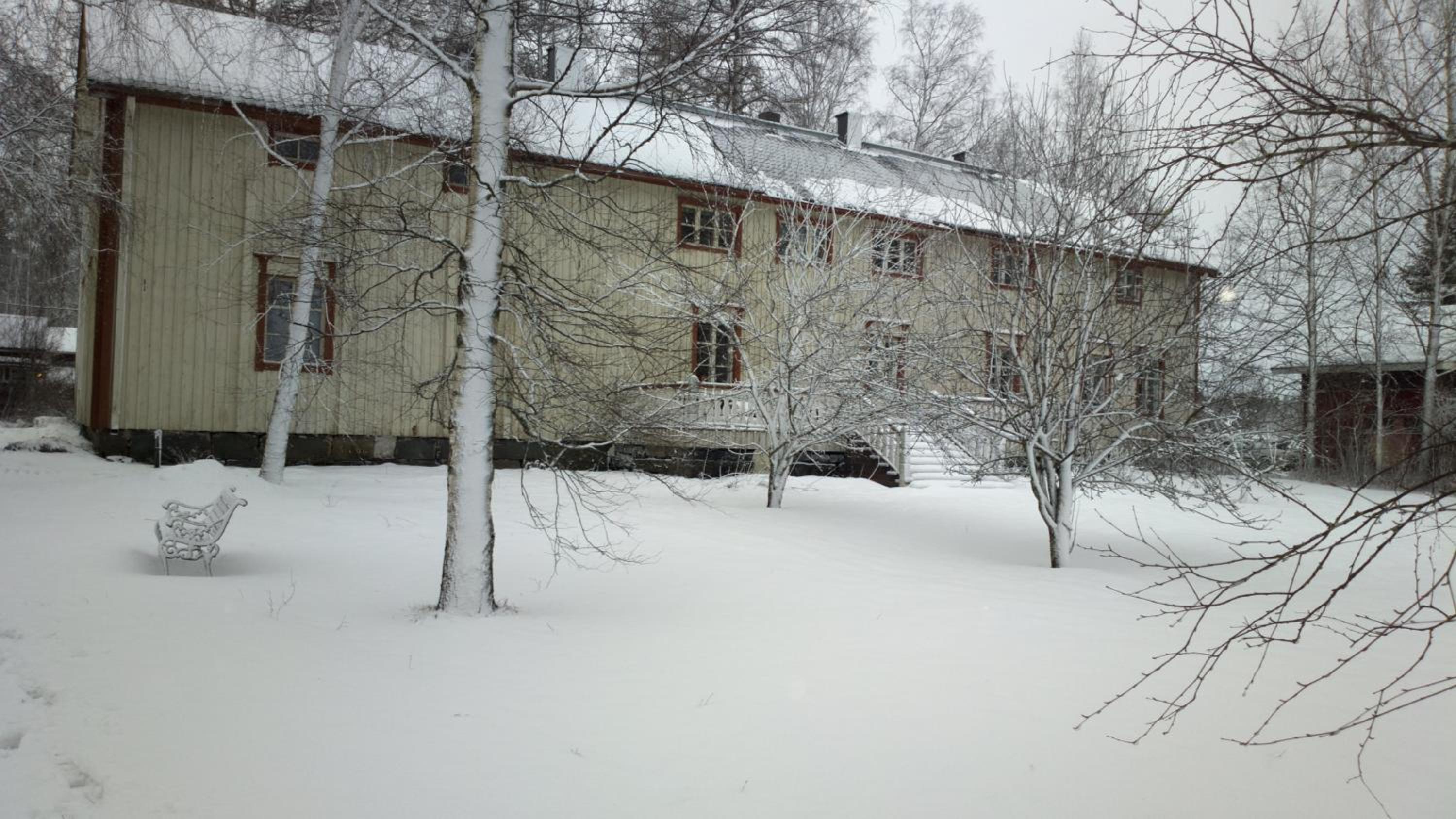 Metsolan pihapiiri