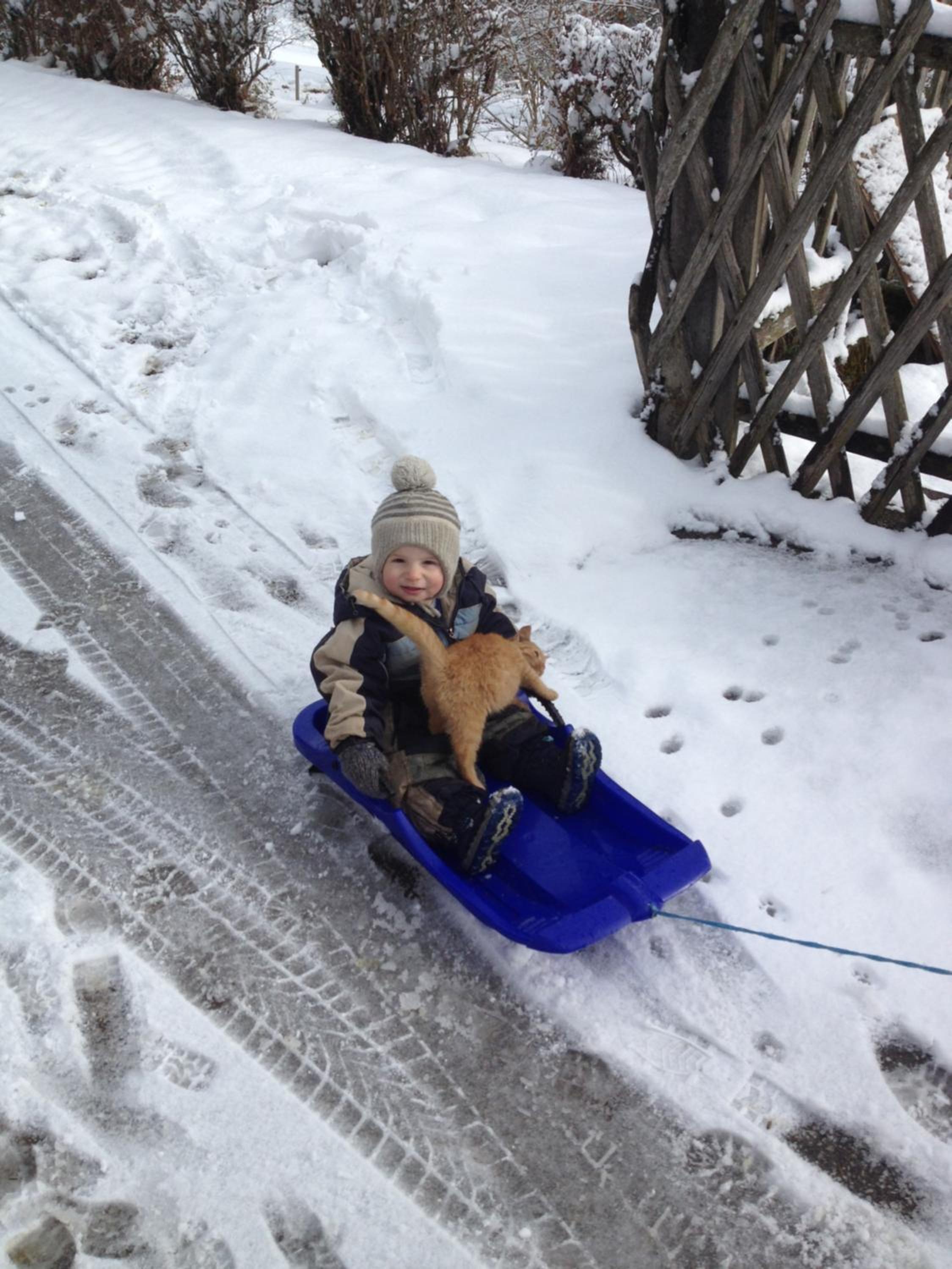 Photo 44