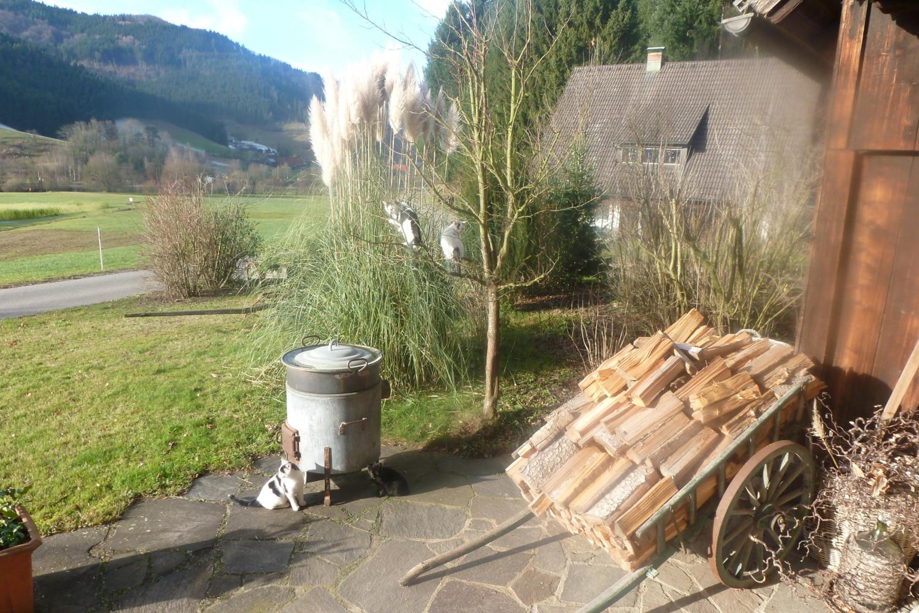 Rommelehof