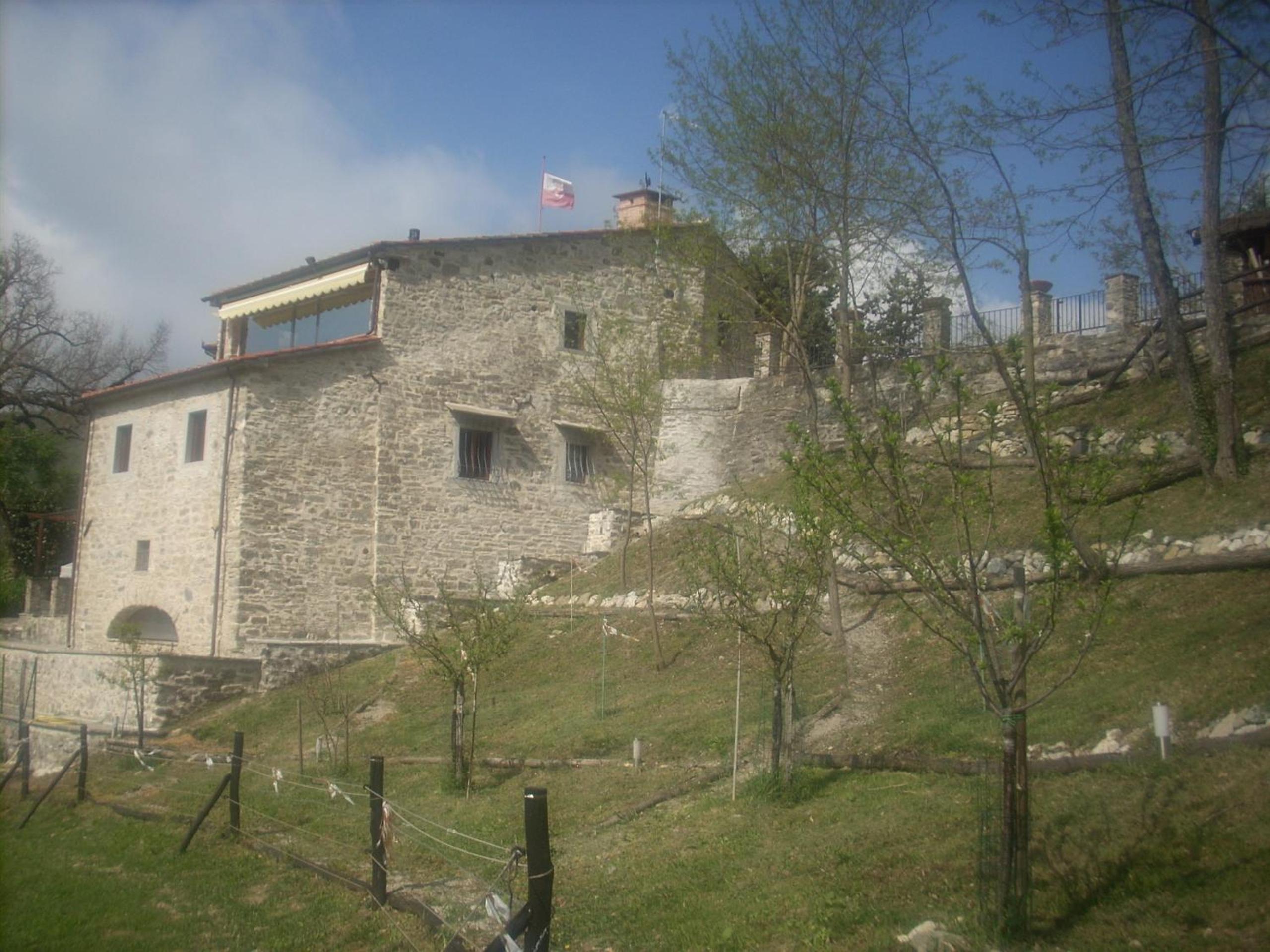 Photo 7