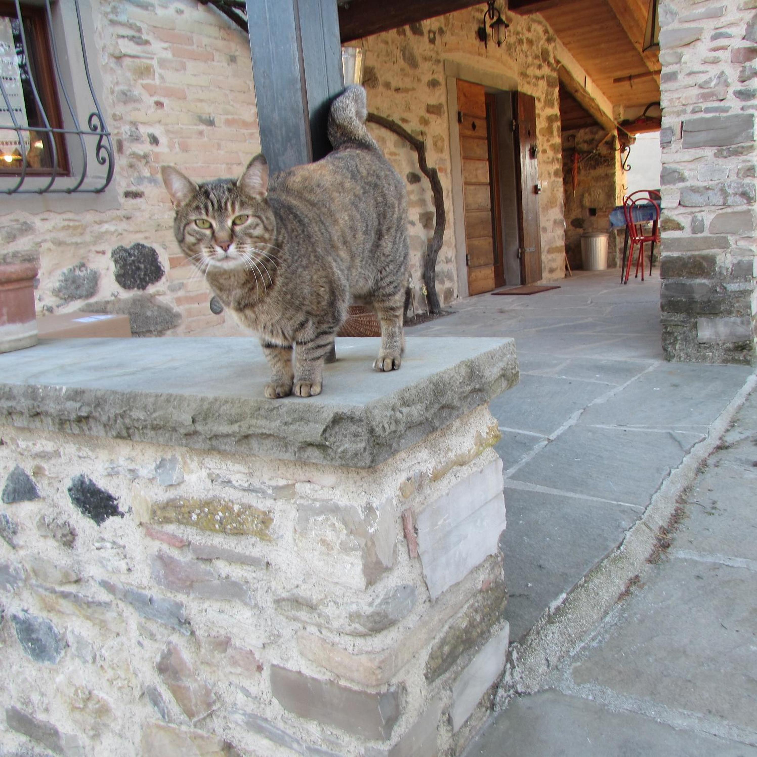 Photo 16