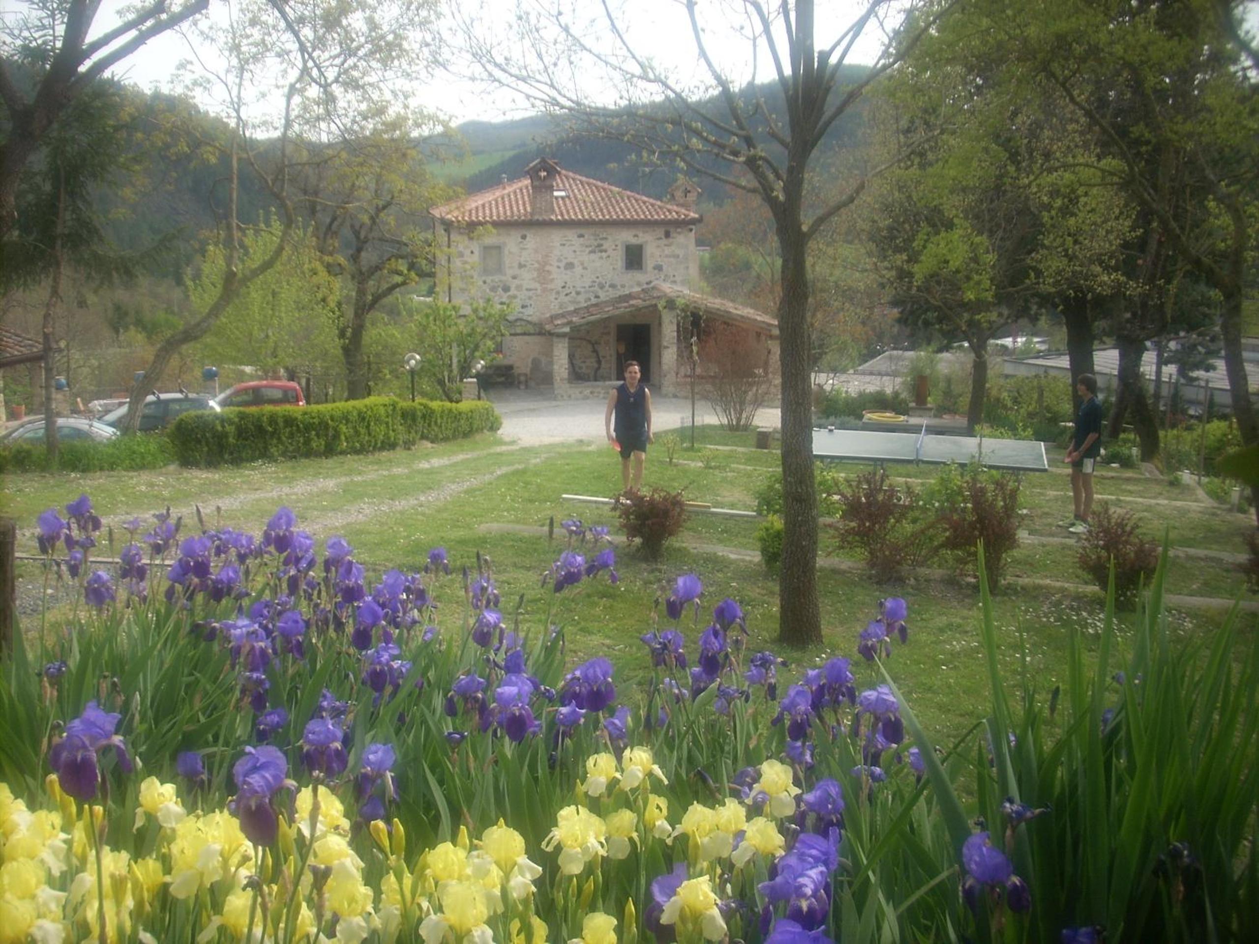 Photo 21