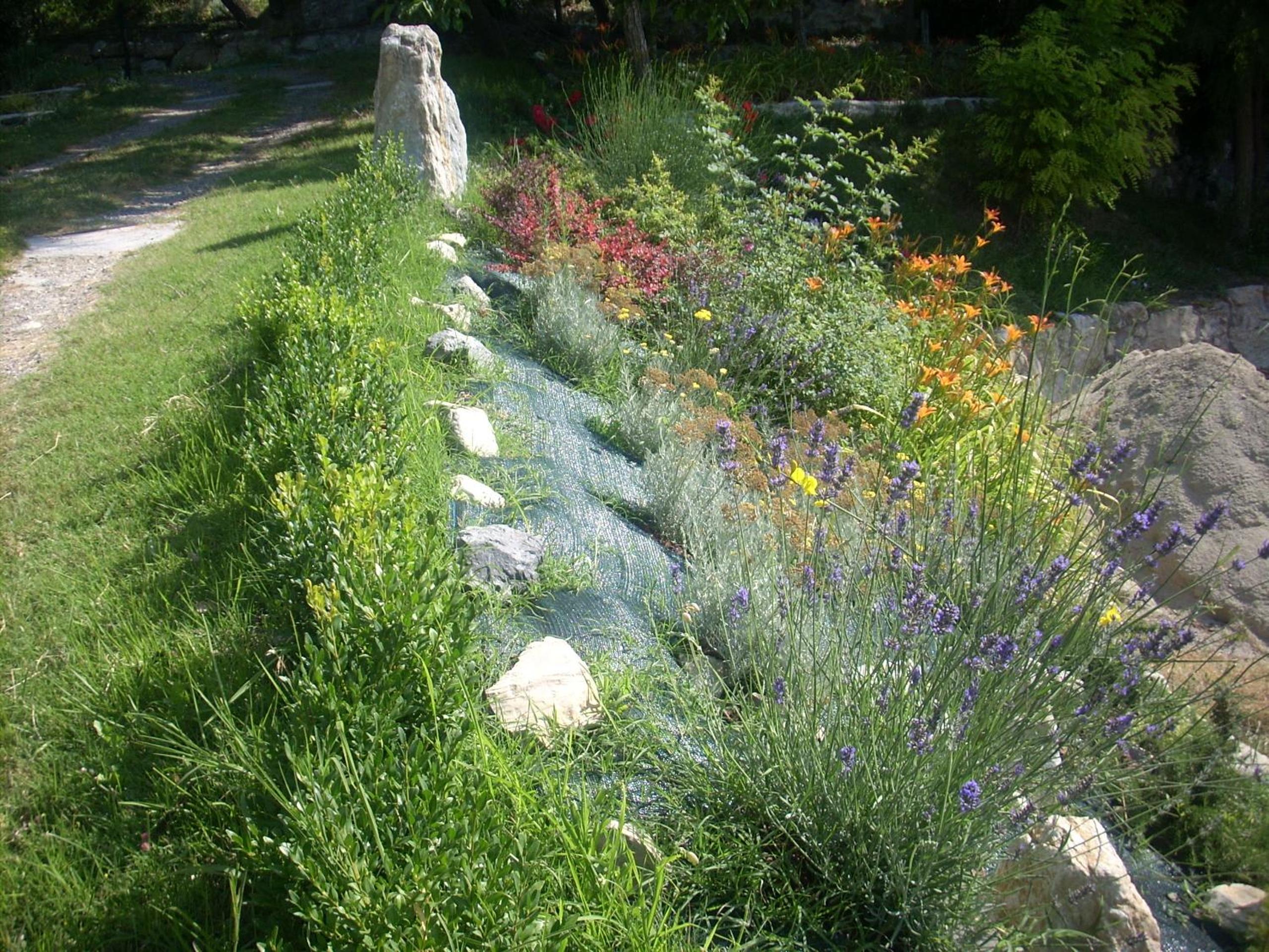 Photo 26