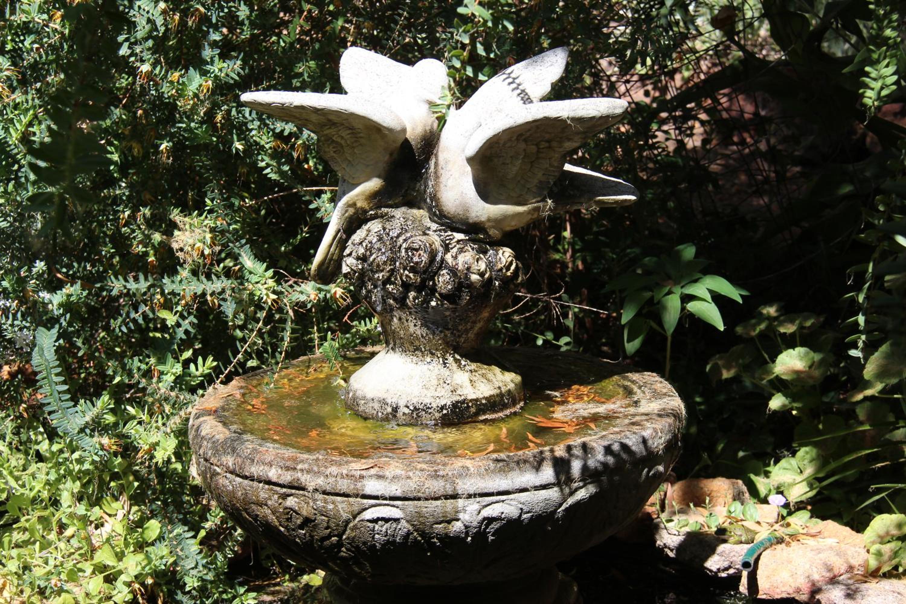 Whispering Pines Bed and Breakfast