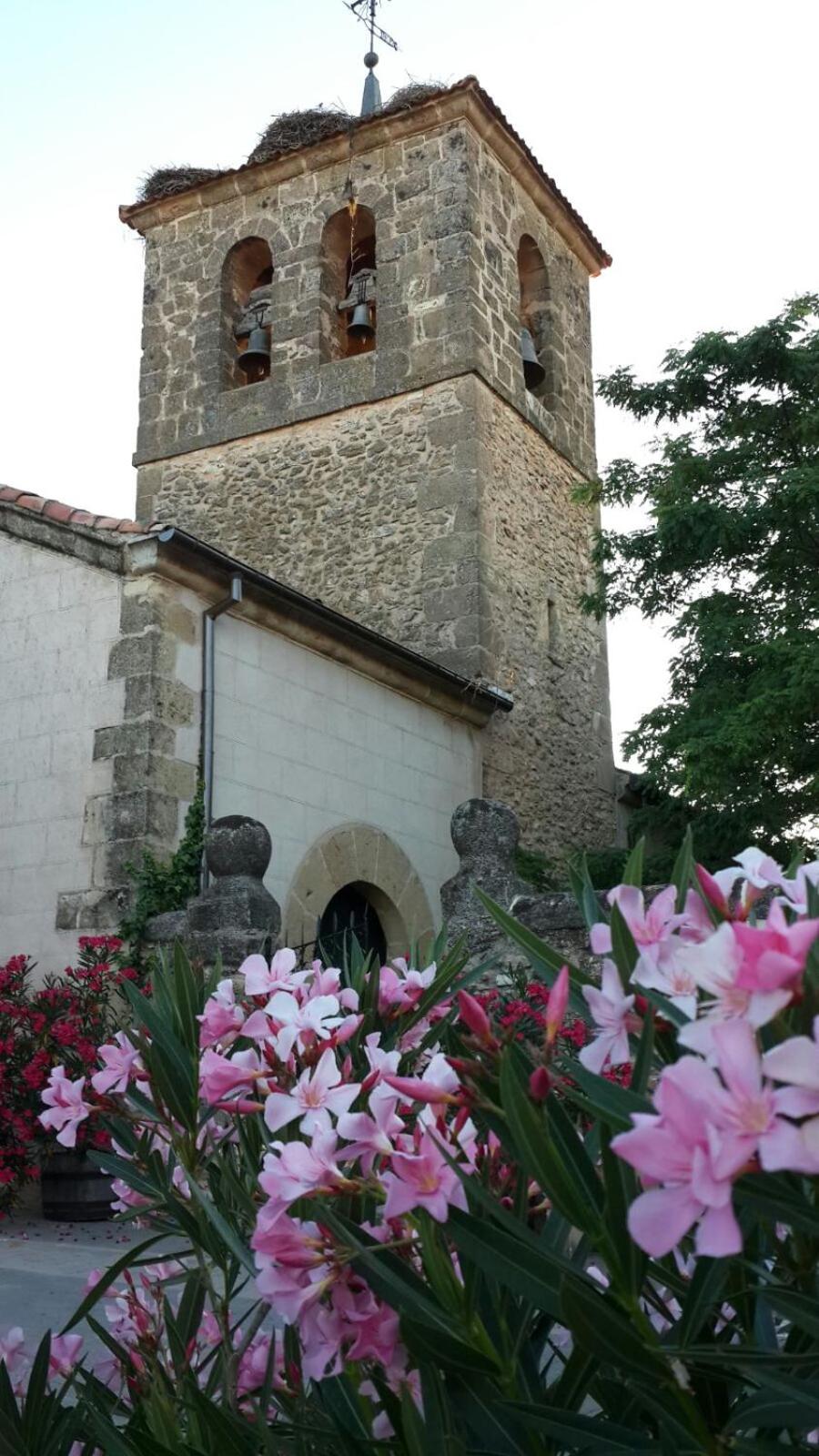 Photo 43