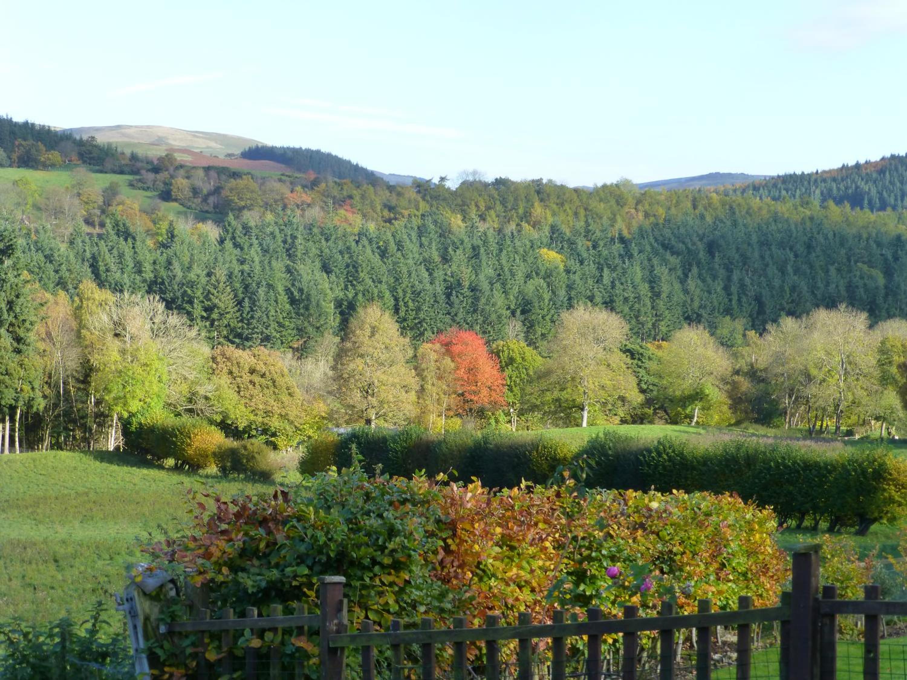 Dee Valley Cottages