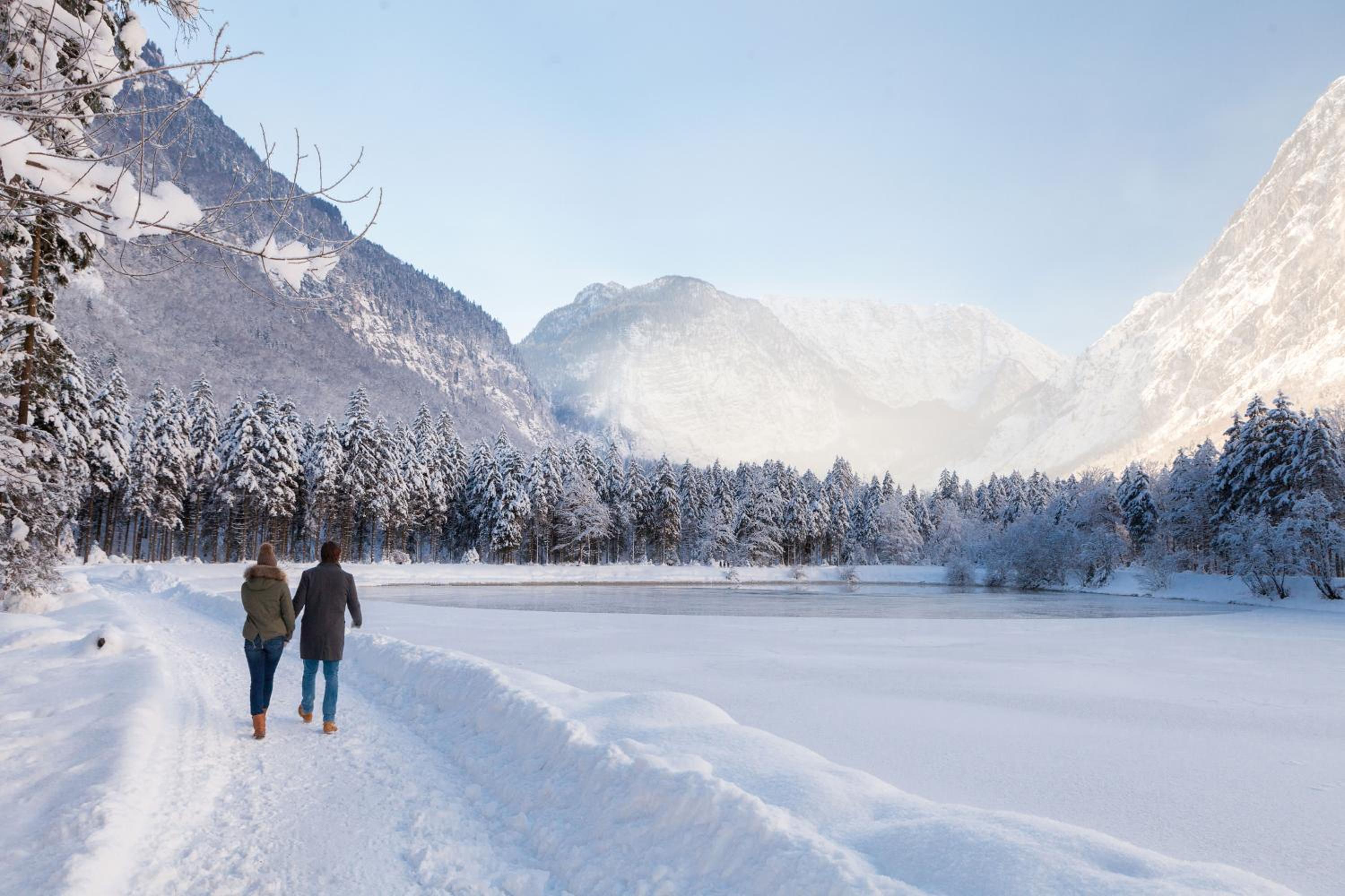 Forest Chalet, all famous ski areas around us, 15 min to city of salzburg, mountainview, panorama sauna, bath whirlpool, fire pit in garden up to 10 p