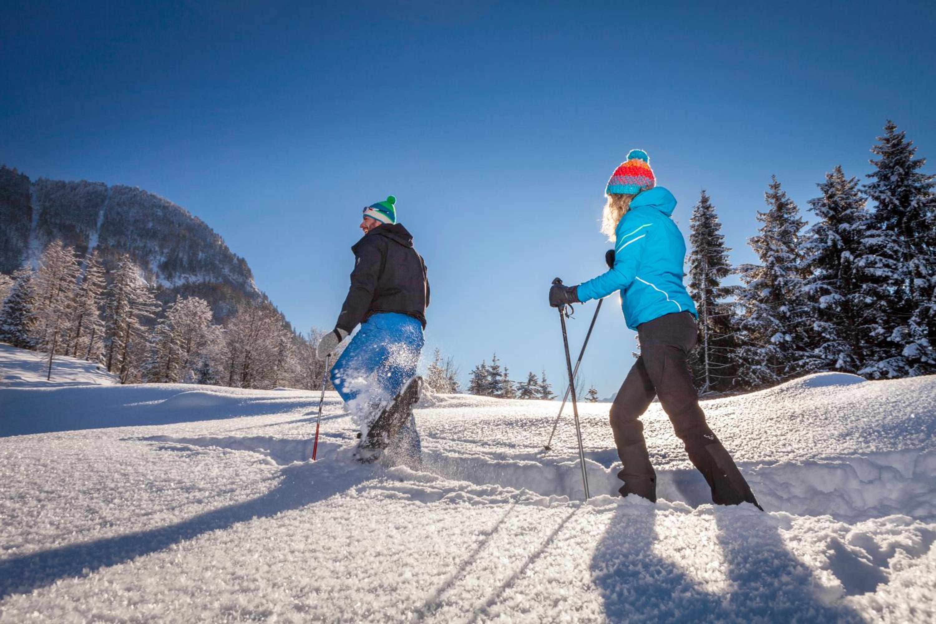 Forest Chalet, all famous ski areas around us, 15 min to city of salzburg, mountainview, panorama sauna, bath whirlpool, fire pit in garden up to 10 p