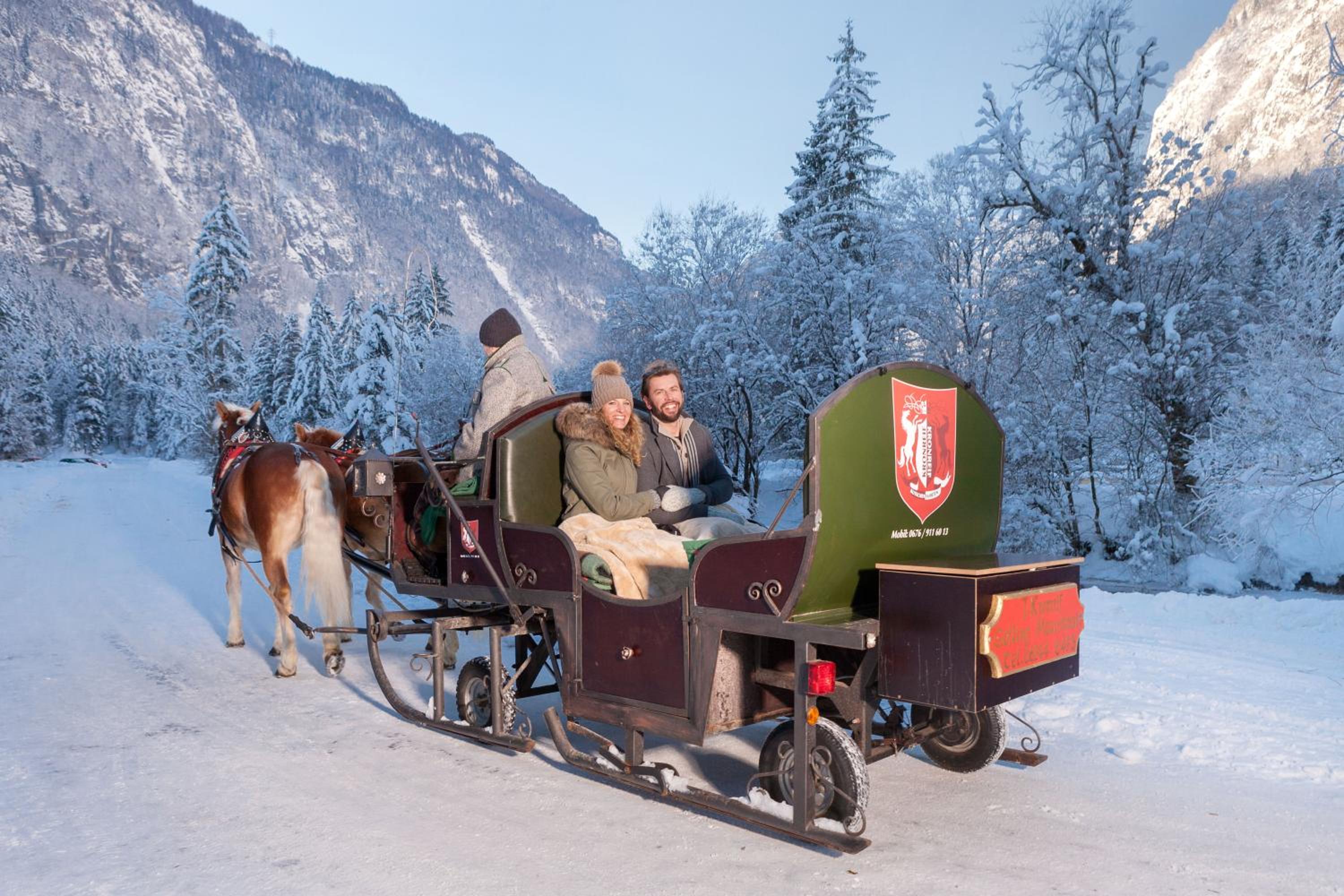 Forest Chalet, all famous ski areas around us, 15 min to city of salzburg, mountainview, panorama sauna, bath whirlpool, fire pit in garden up to 10 p