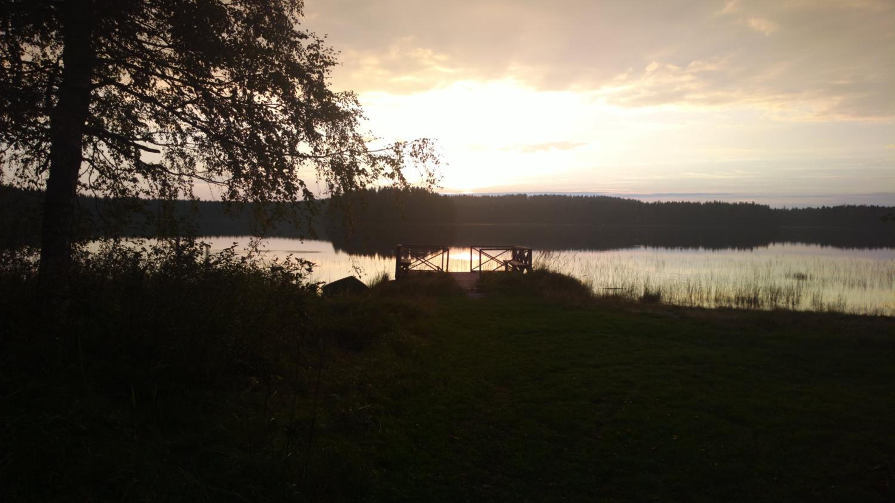 Metsolan pihapiiri