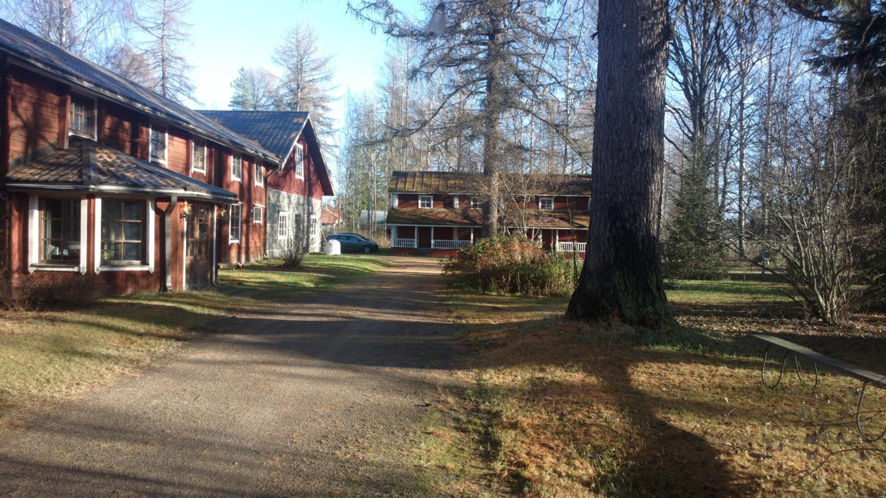 Metsolan pihapiiri