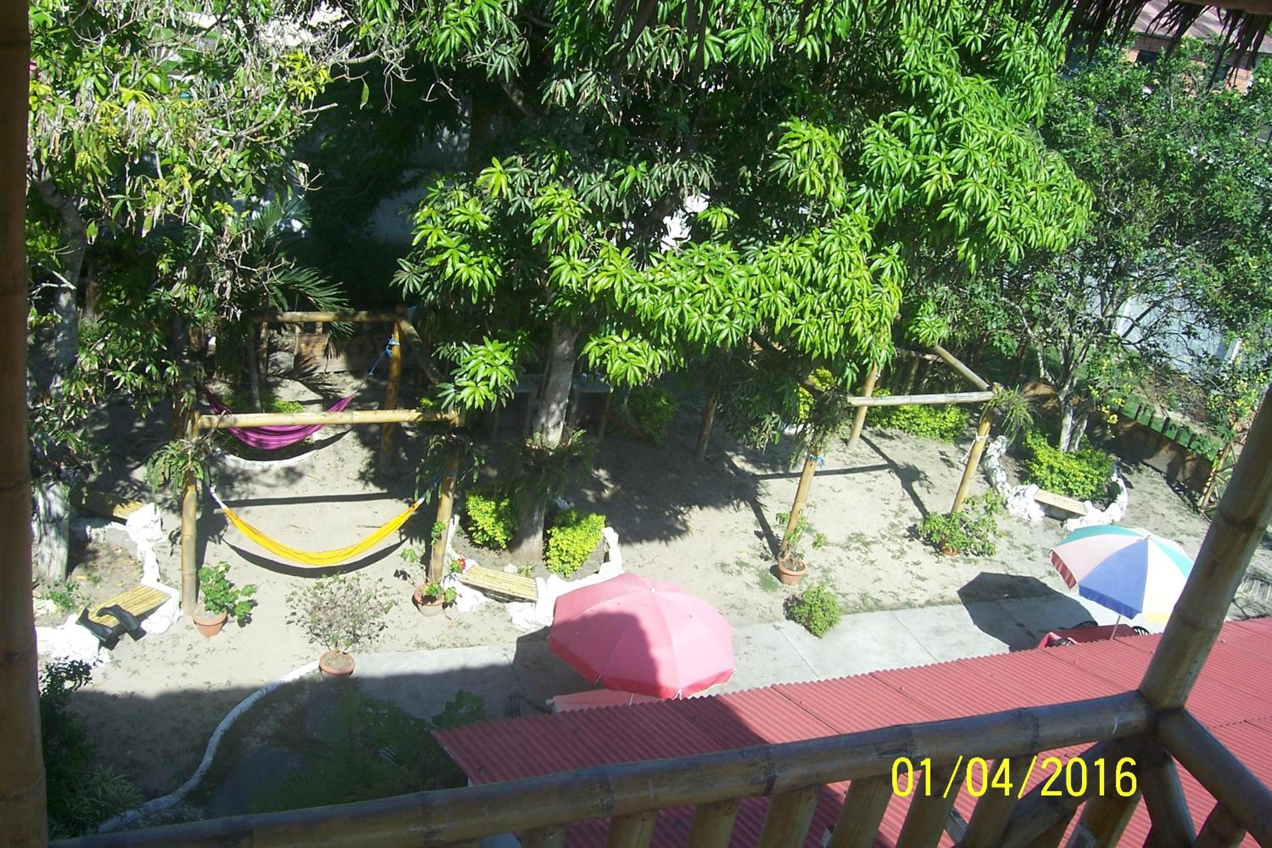 Photo 24