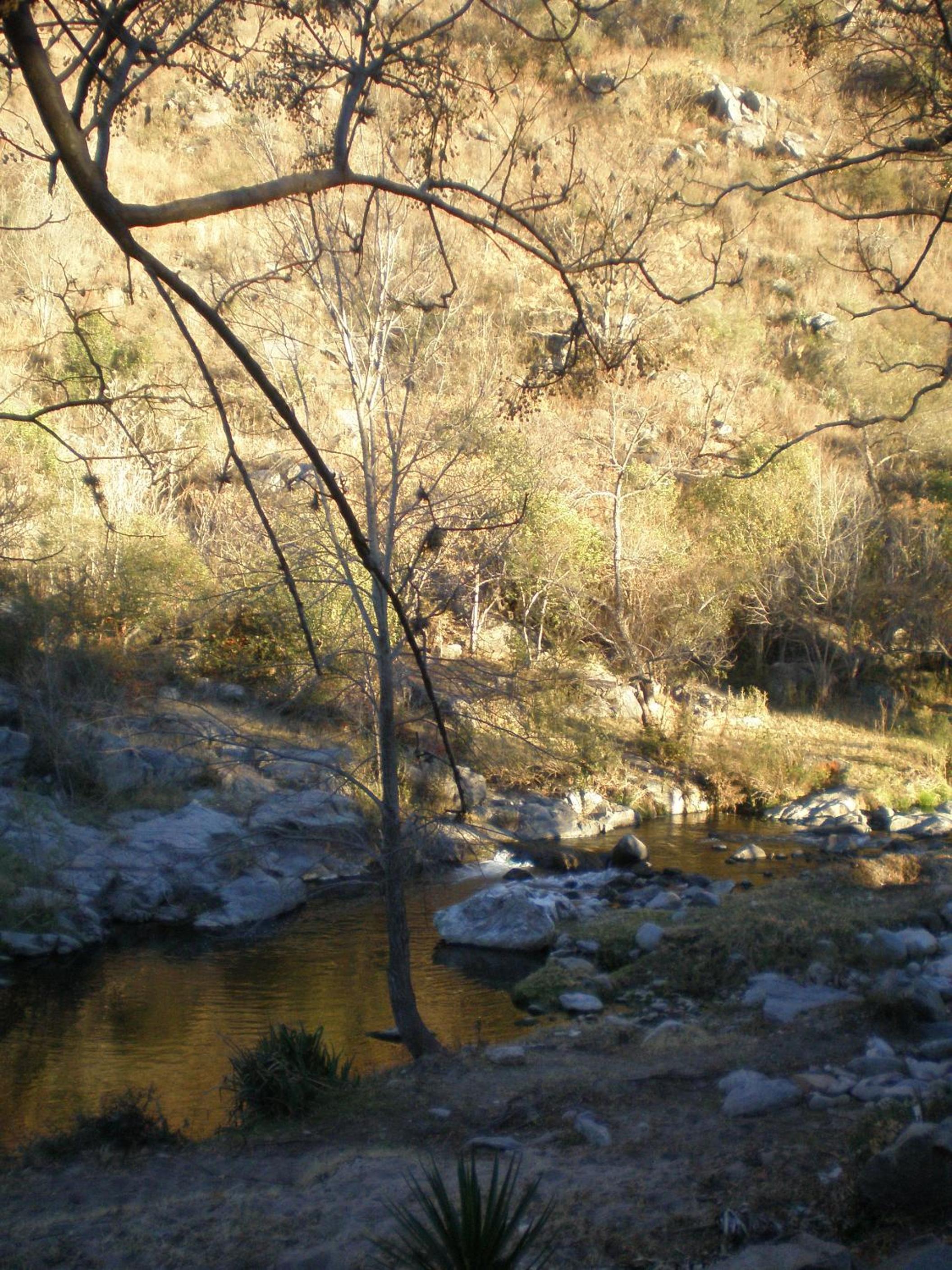 La Casona del Río