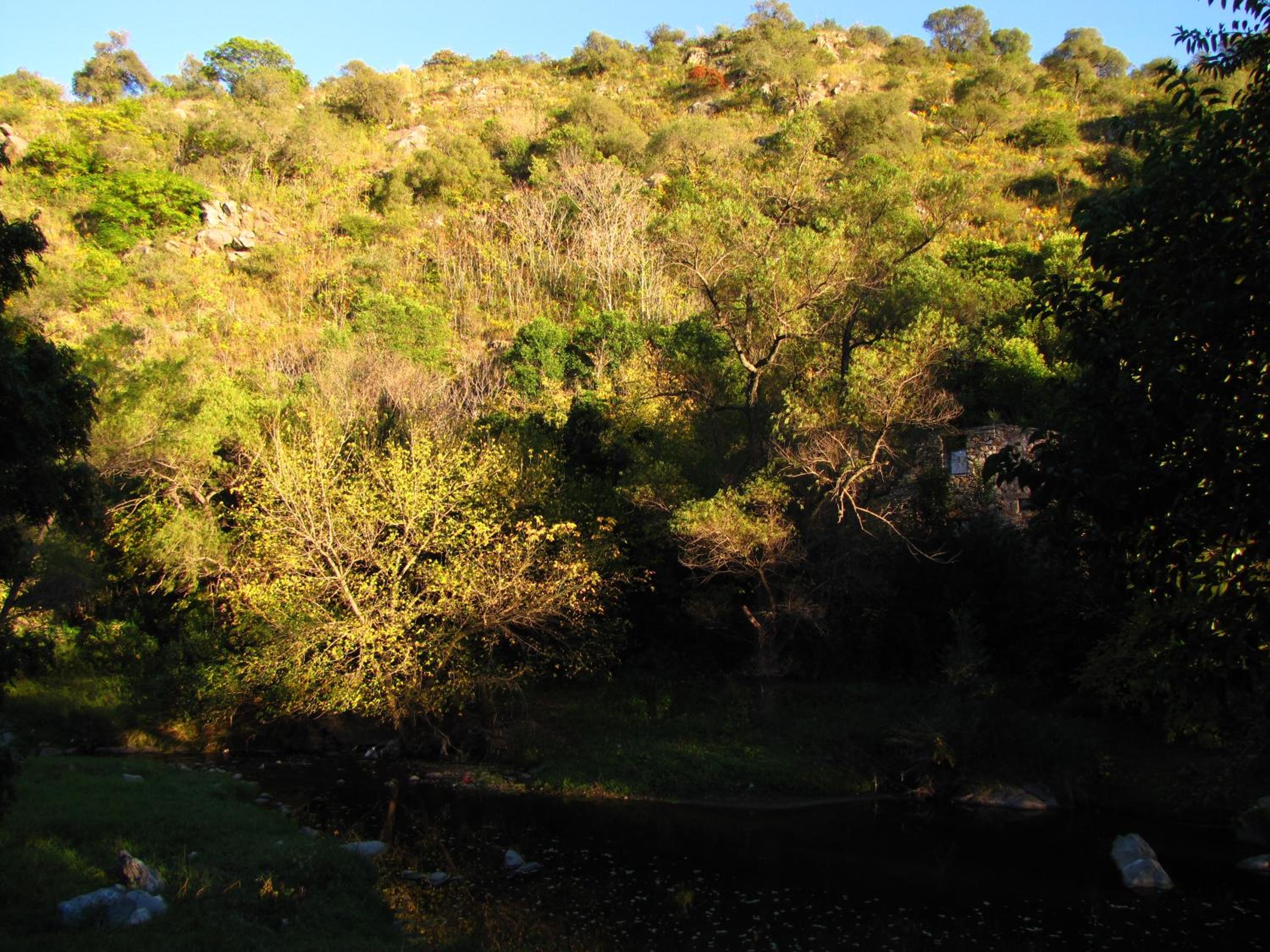 La Casona del Río
