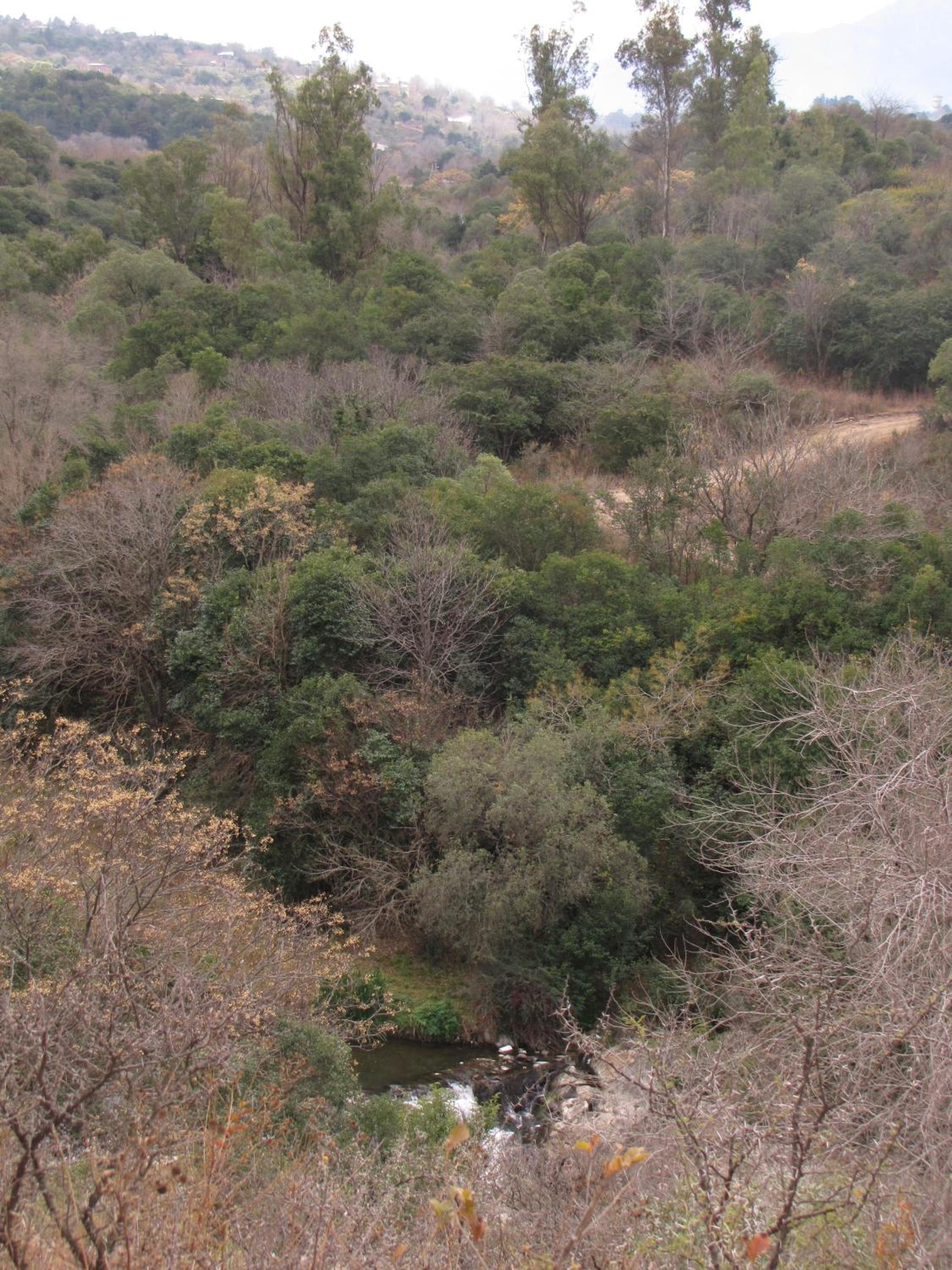 La Casona del Río