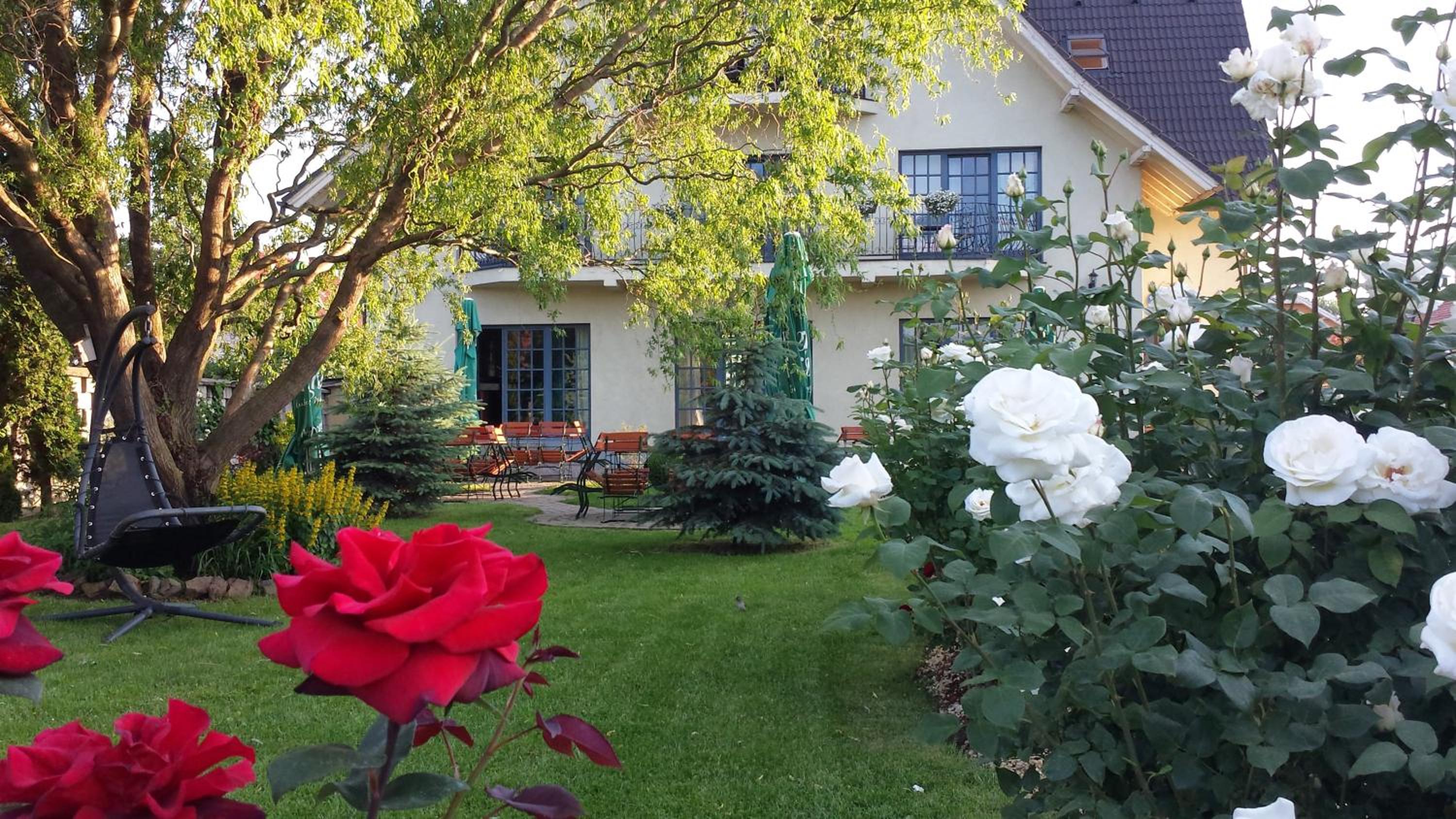 Villa Westfalia Boutique Villa & SPA Adult Only` view 5