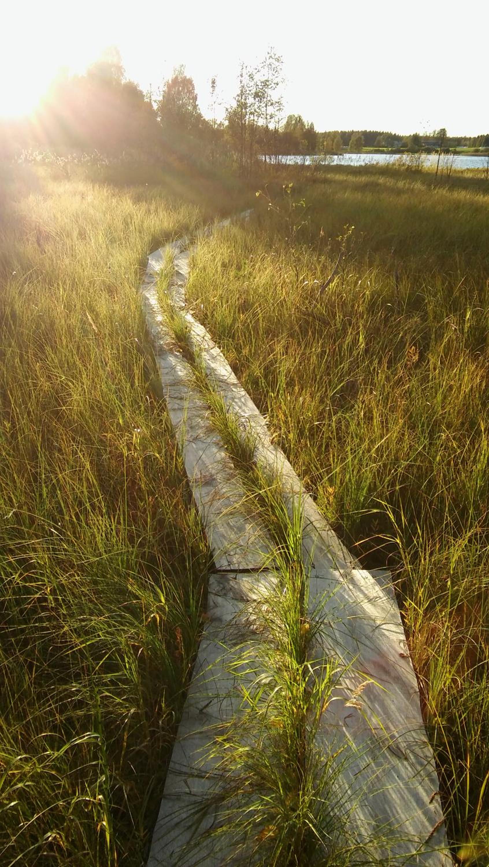 Photo 45