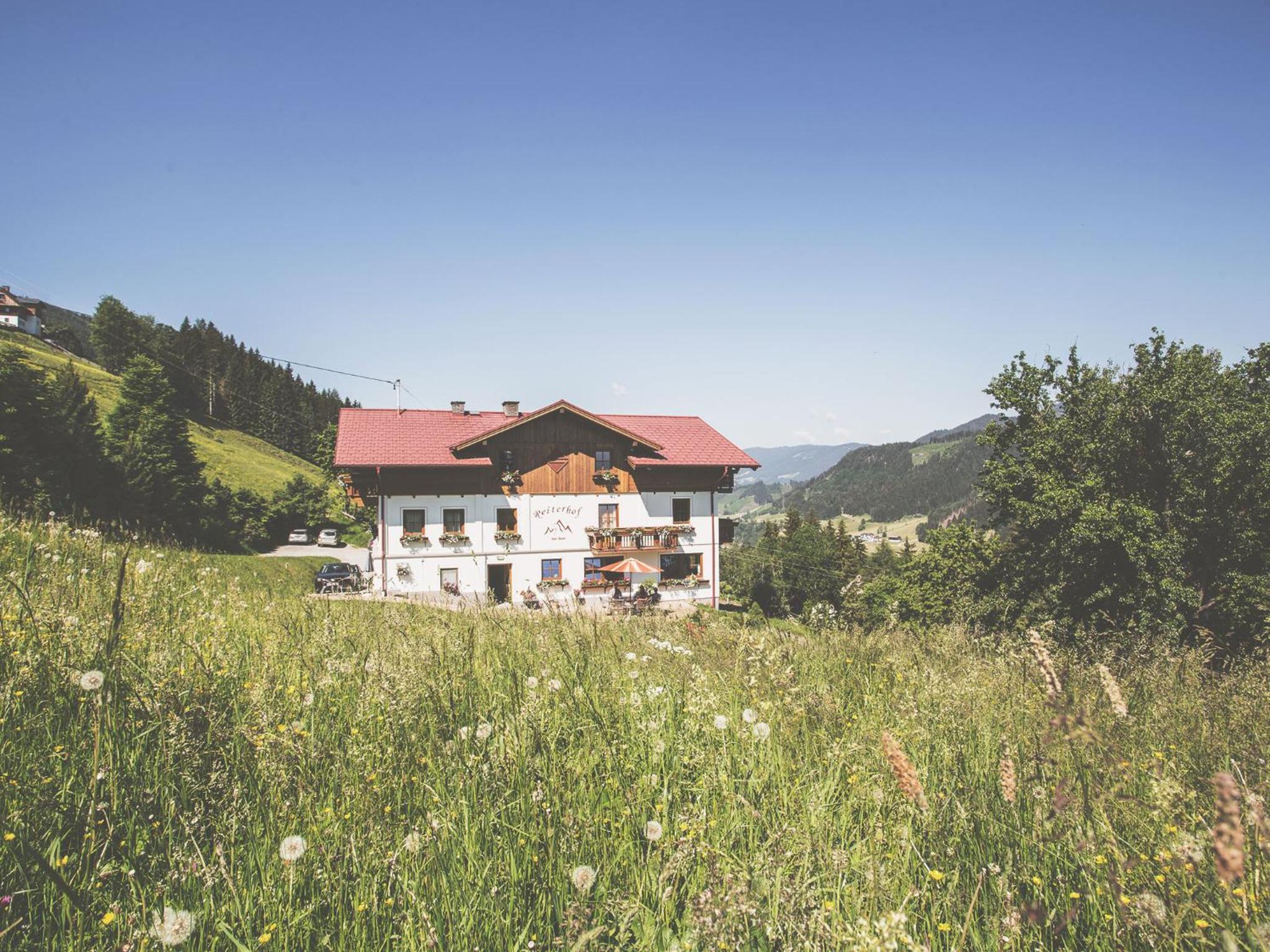 VOM REITER, Ferienwohnung am Bauernhof mit Bergblick und privater Infrarotkabine, Inkl Sommercard und Spielplatz
