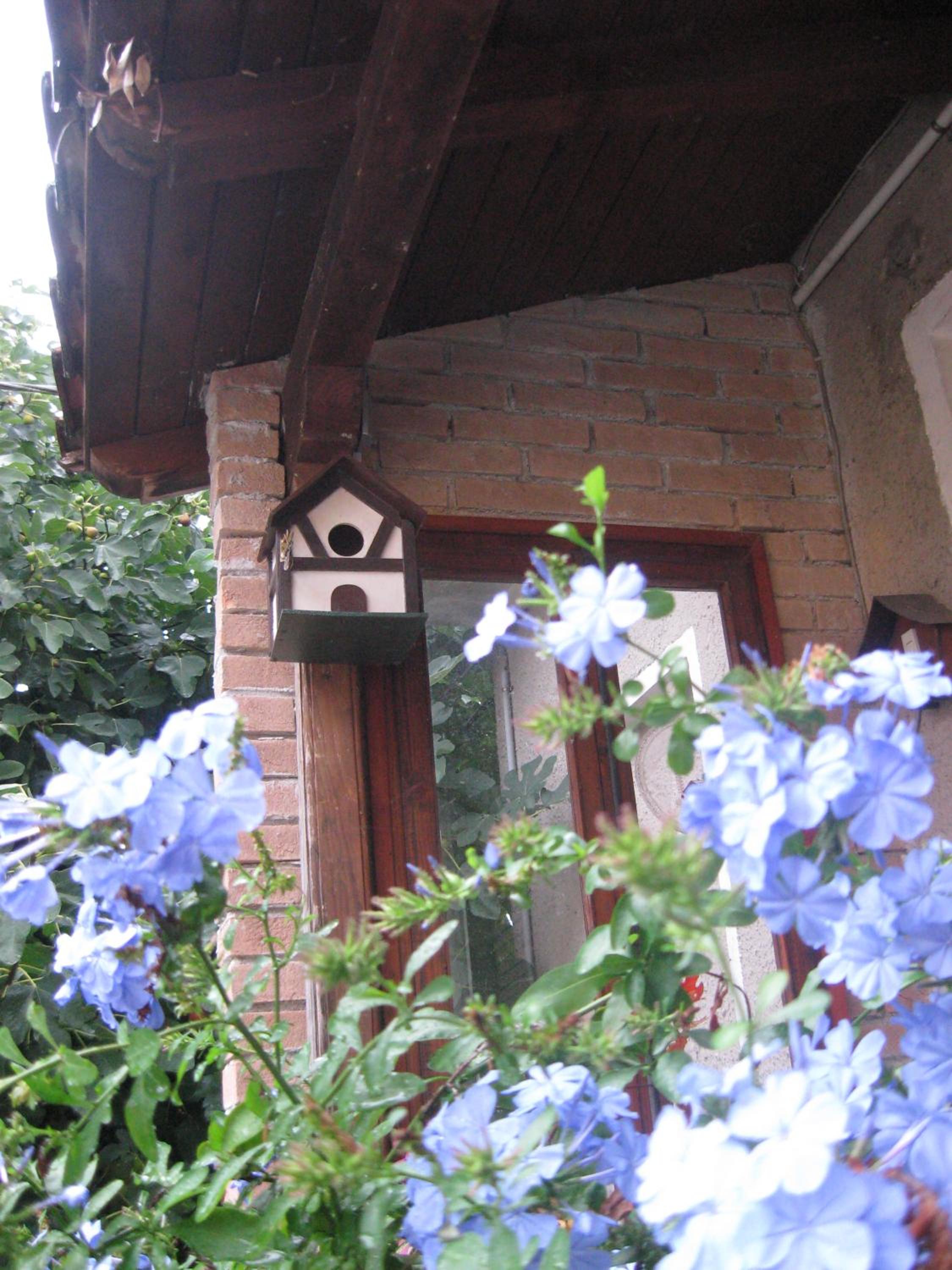 A casa della zia view 5