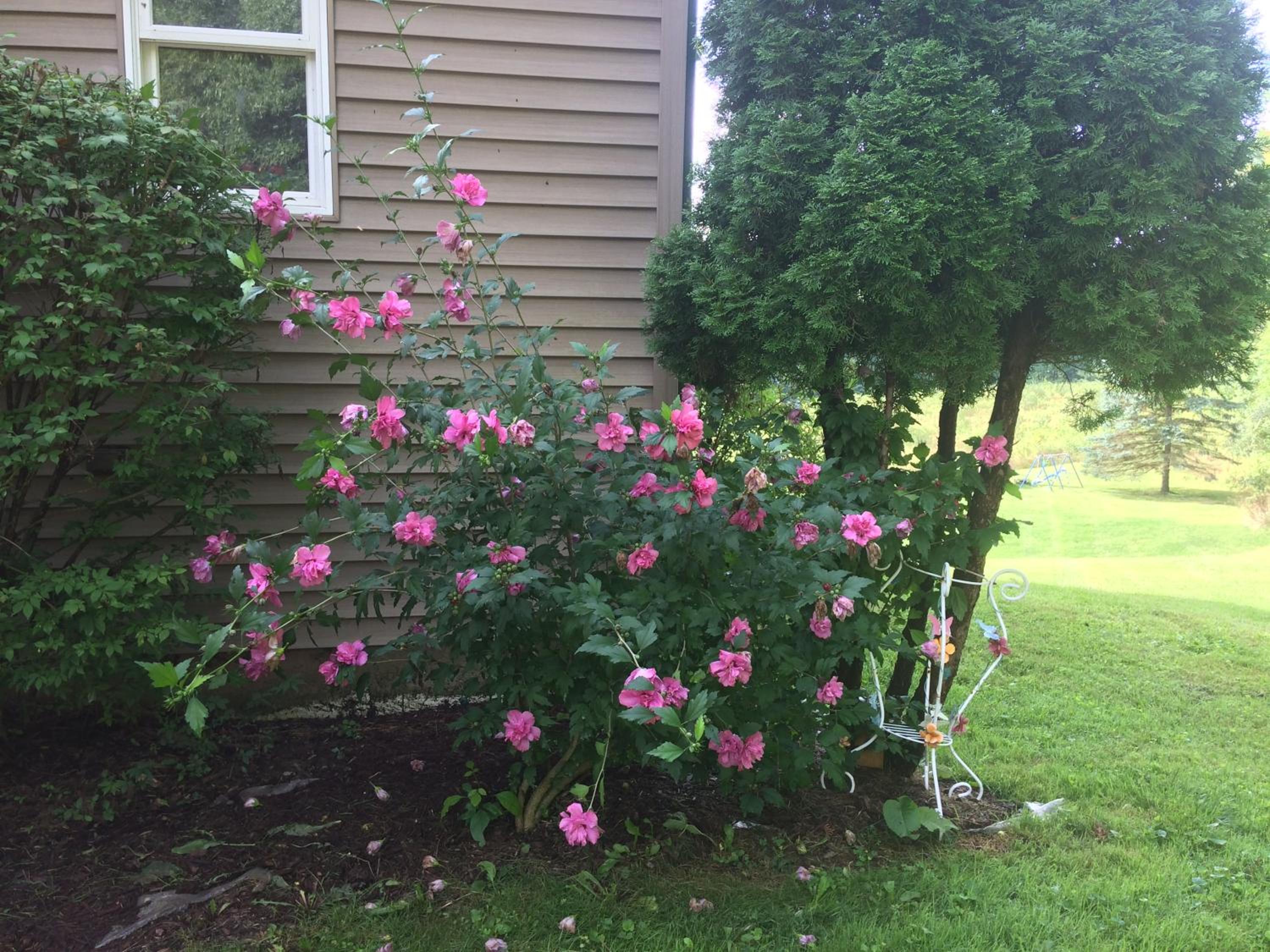 Spruce Hill Inn & Cottages