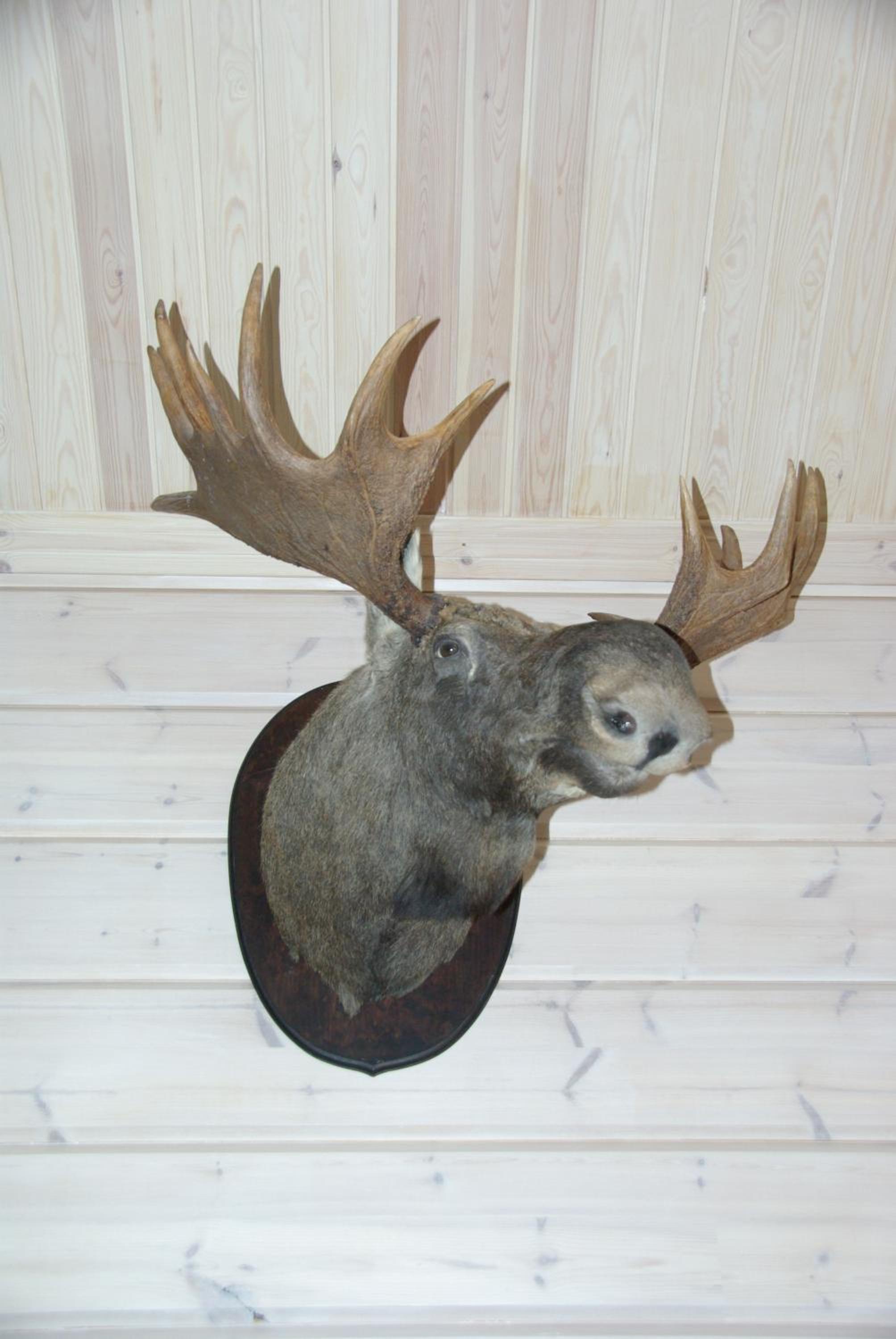 Photo 31