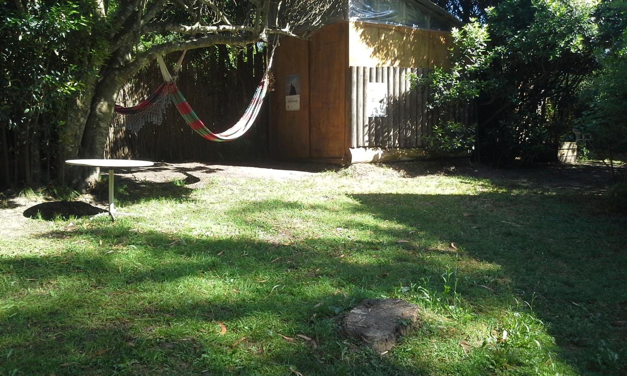 Photo 20