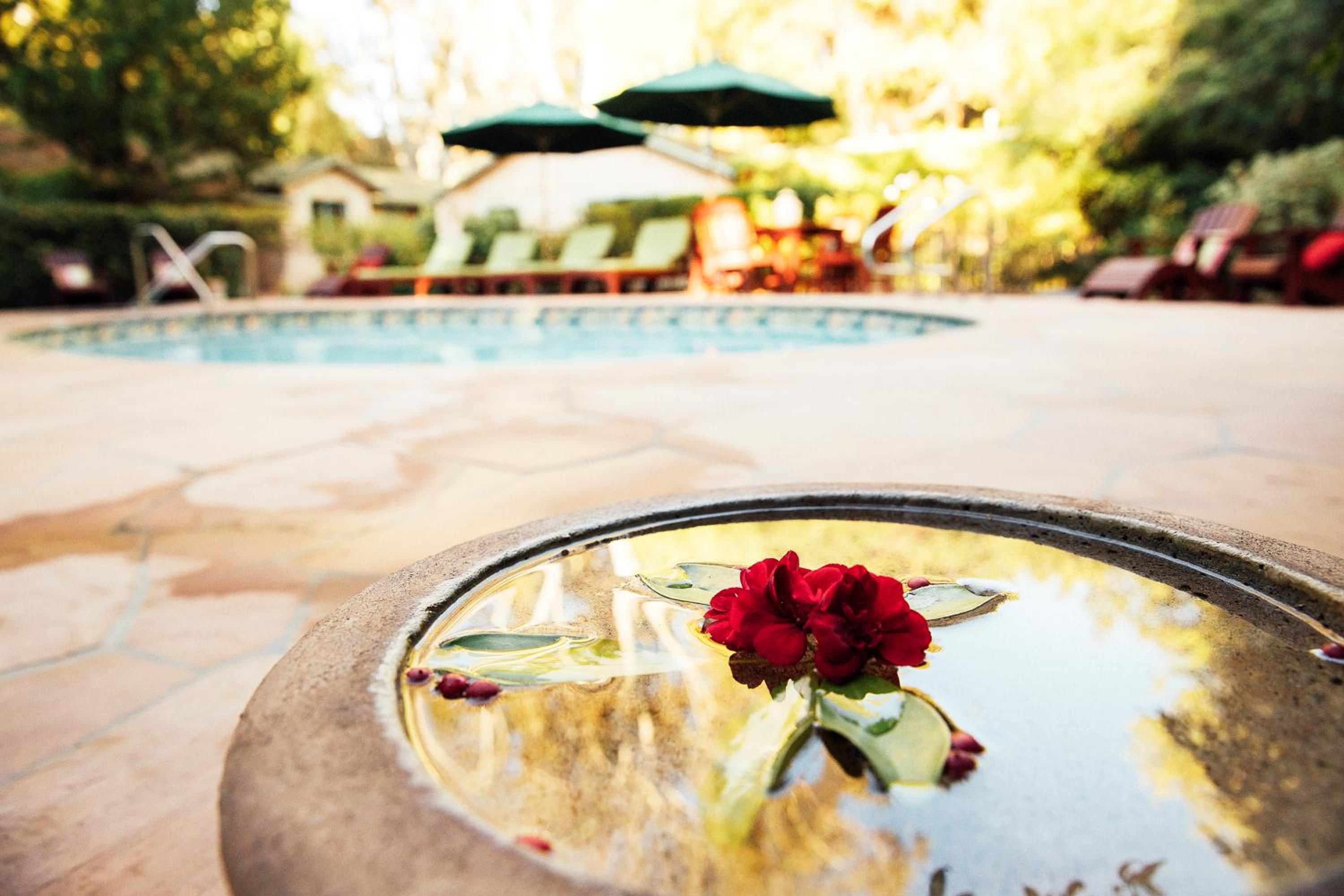 Ojai Vacations - The Emerald Iguana Inn - Property Image 20