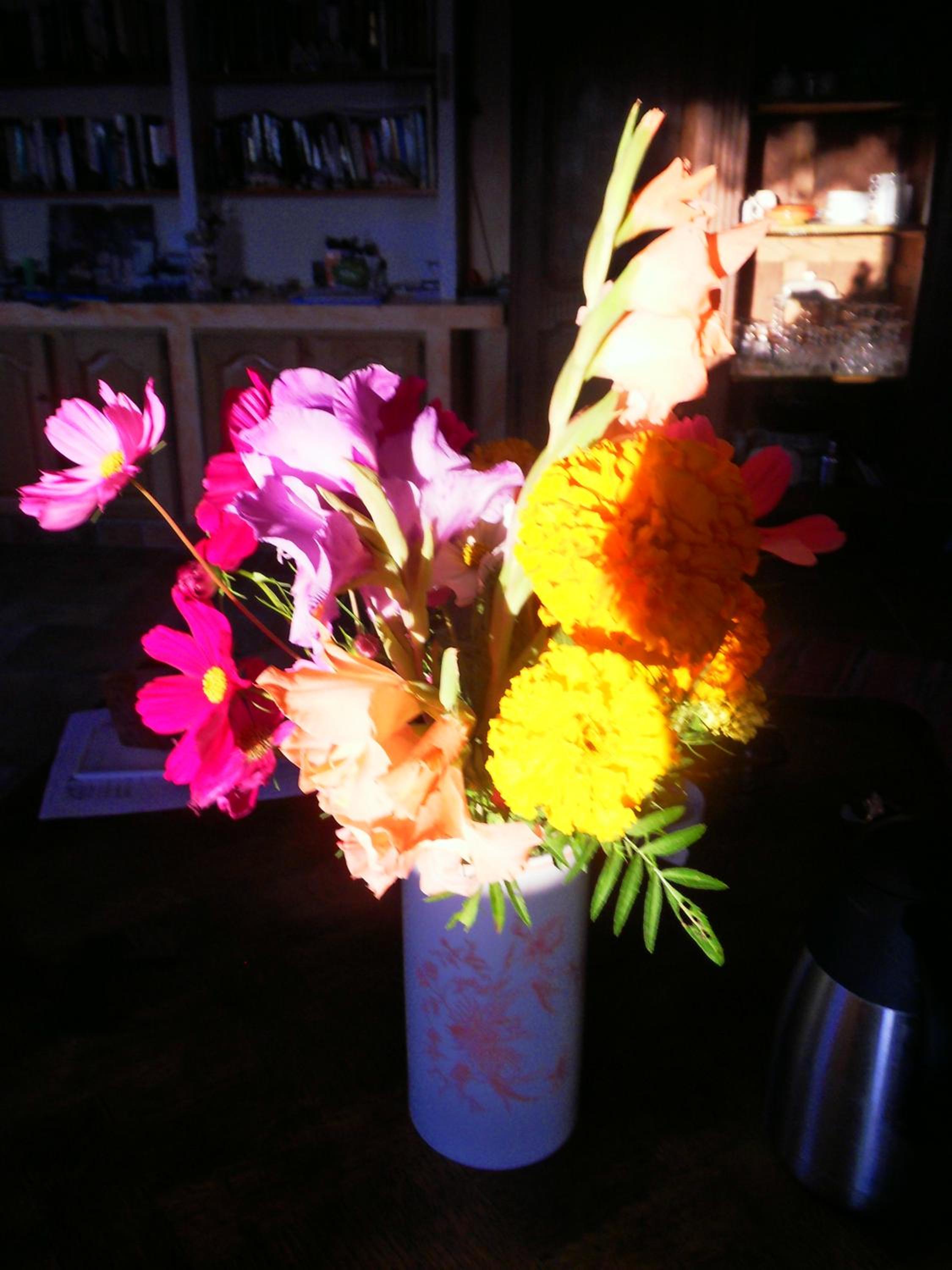 Photo 23