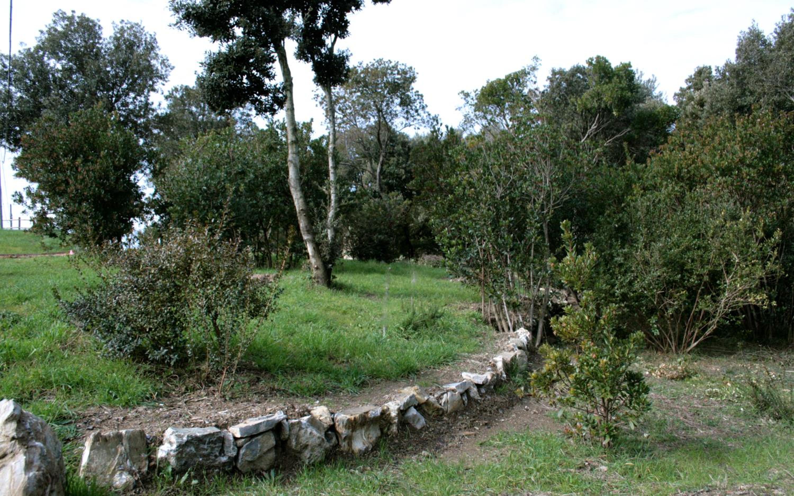 Photo 31