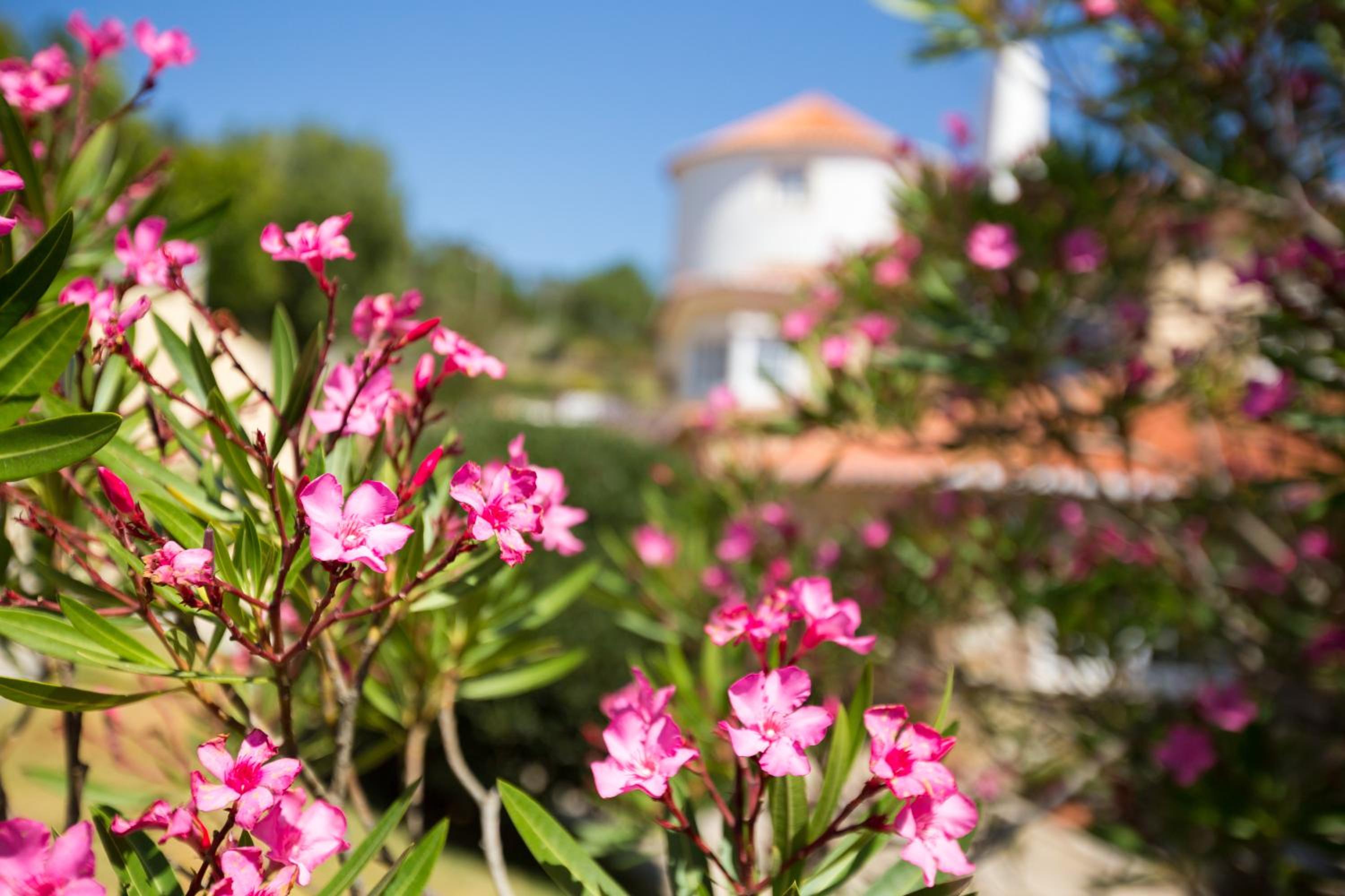 Quinta do Cabo Guesthouse