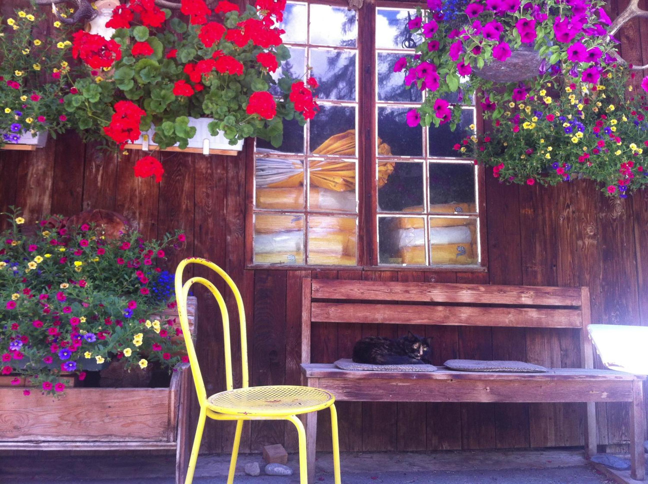 BnB Guesthouse Lusi