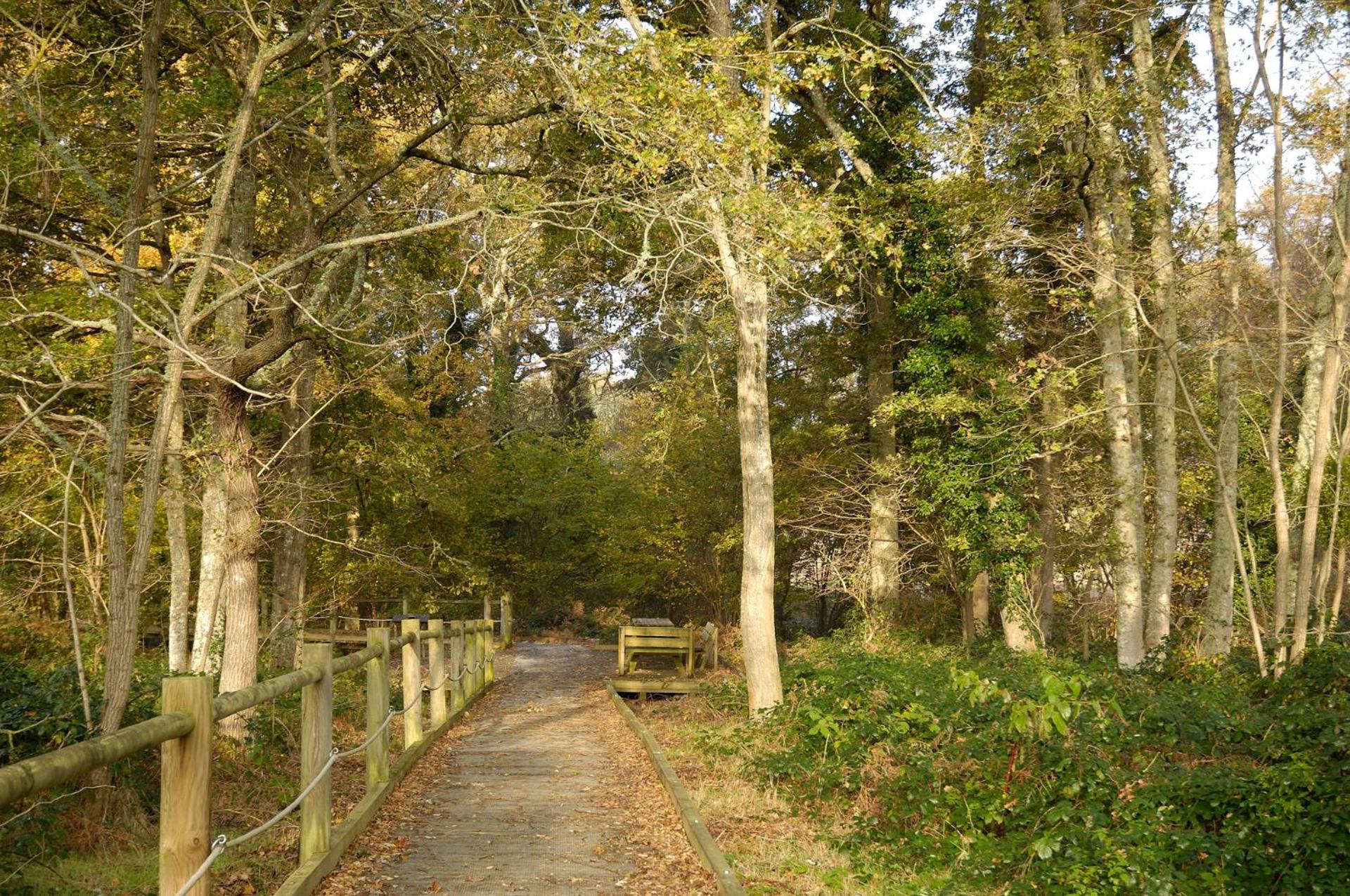 children's play area