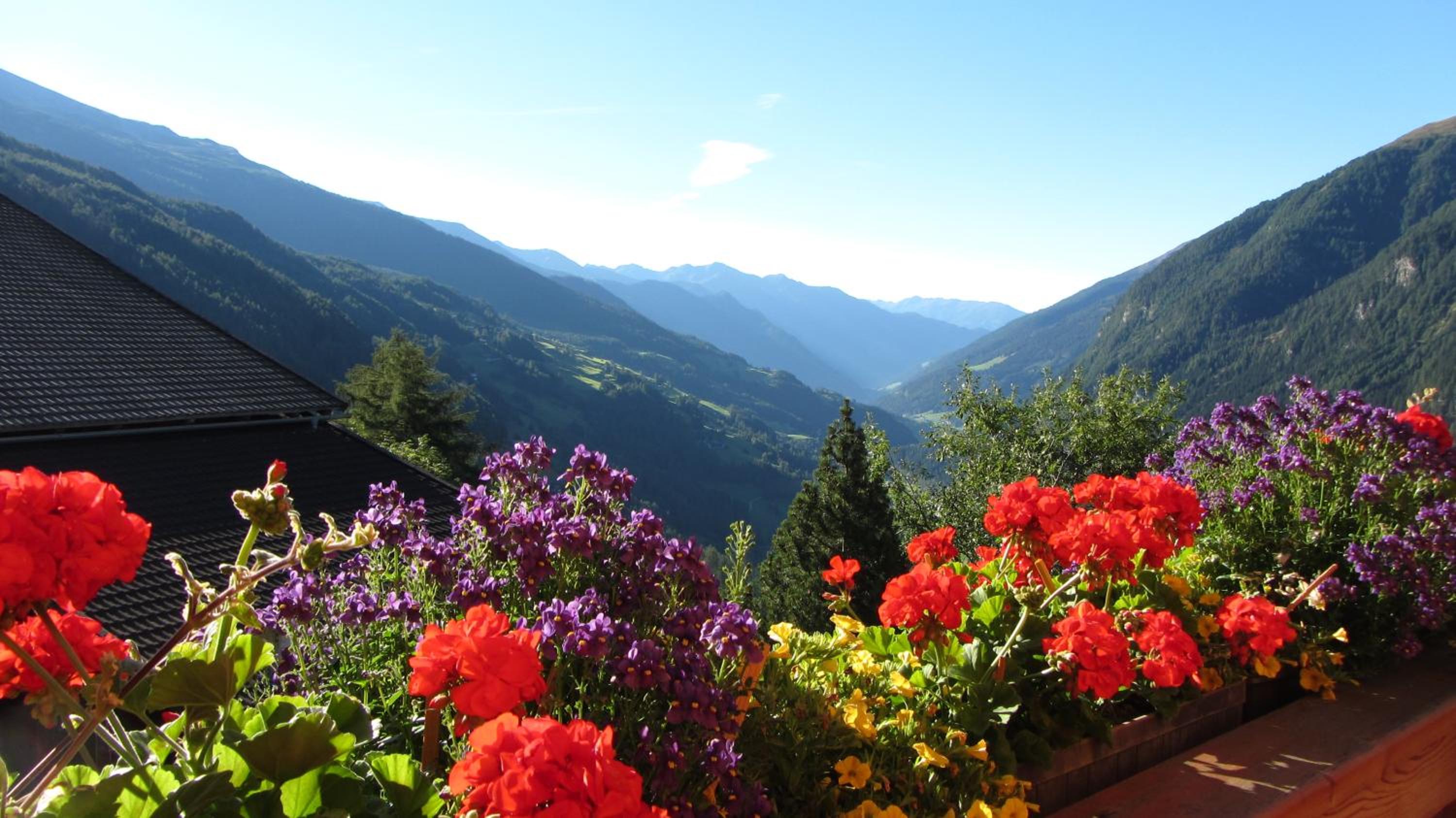 Appartement Seppenbauer - Seppenbauerhof, Kärnten Card inklusive, Ticket Großglockner Hochalpenstraße